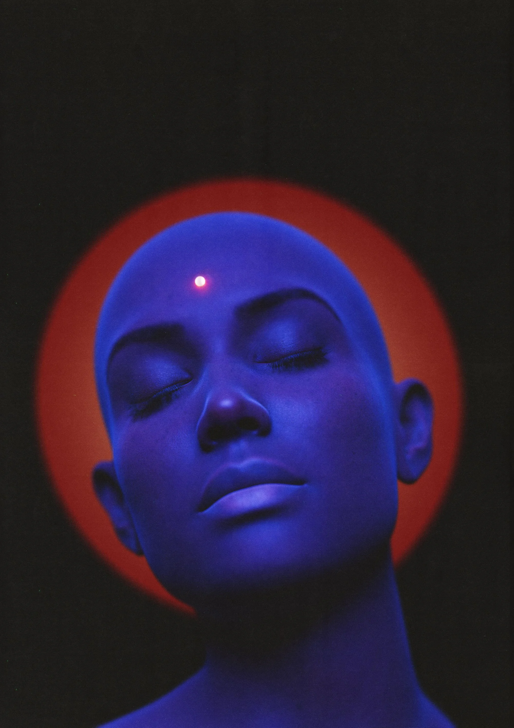 Crimson-Cosmos.jpg