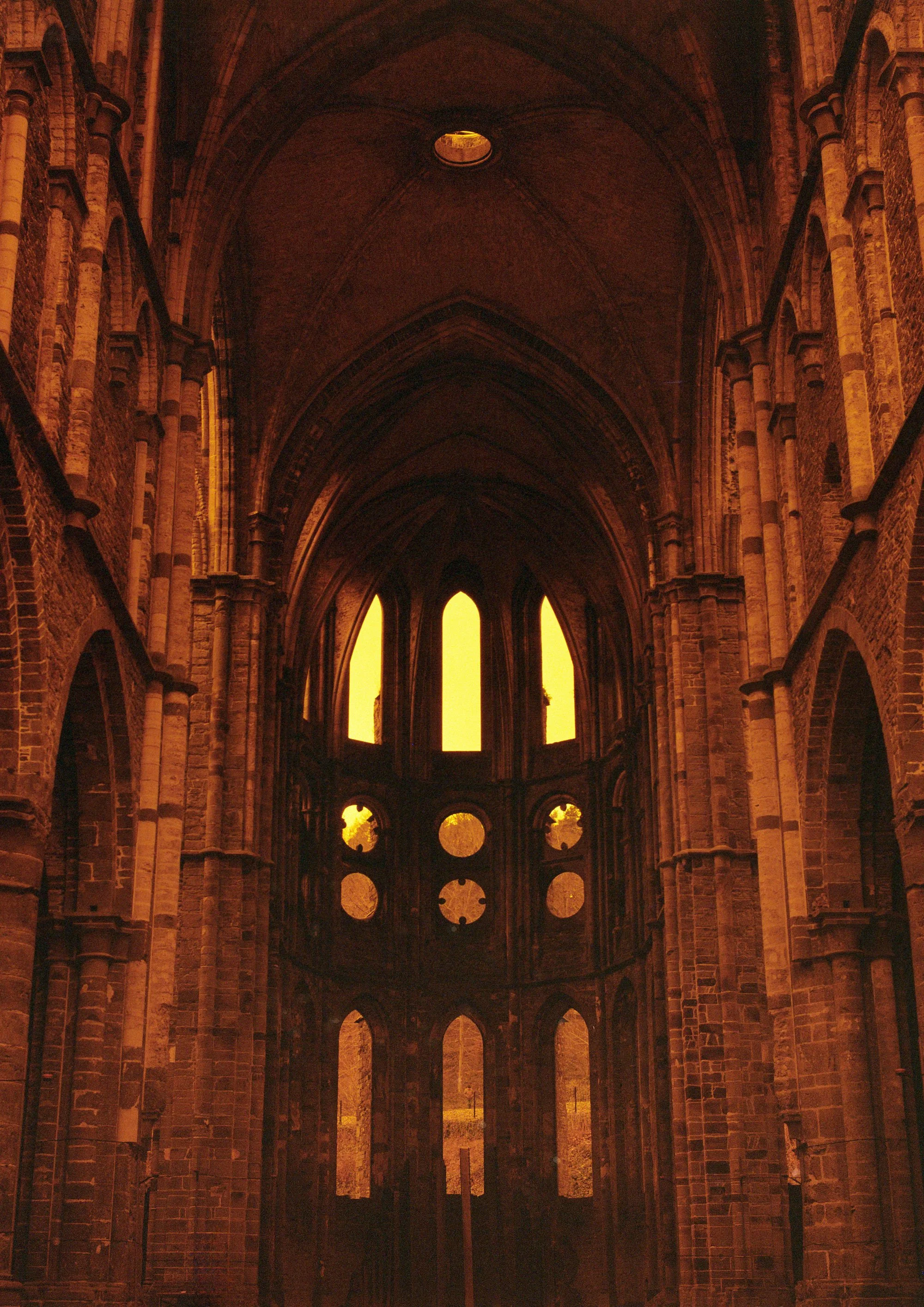 REDSCALE-full.jpg