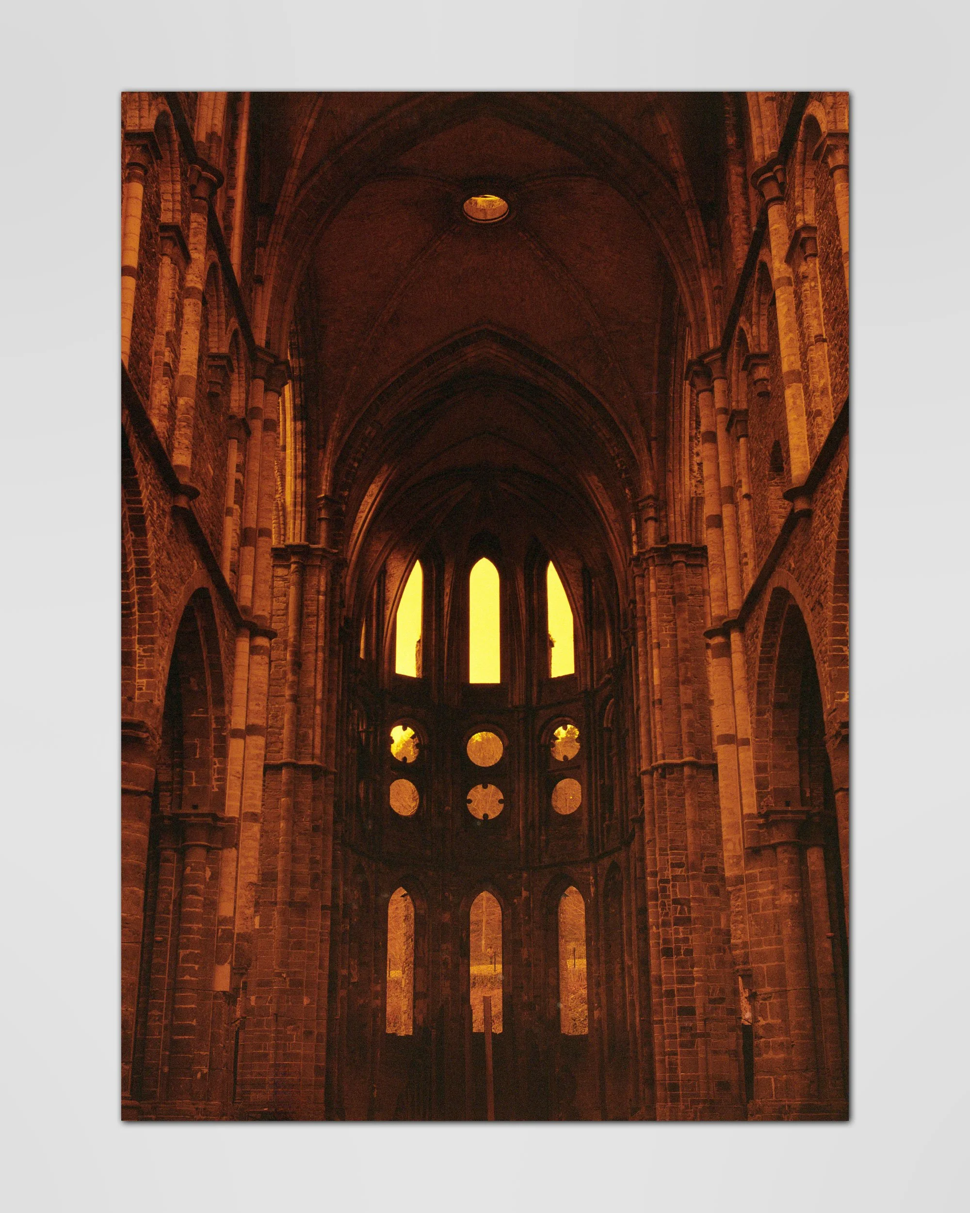 Redscale-main.jpg