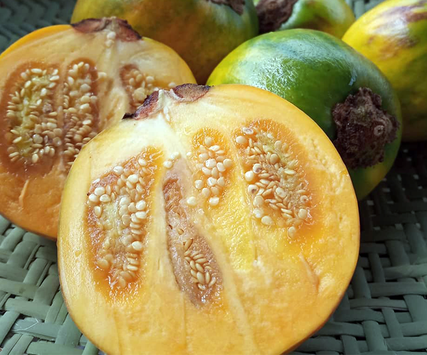 terung asam.png