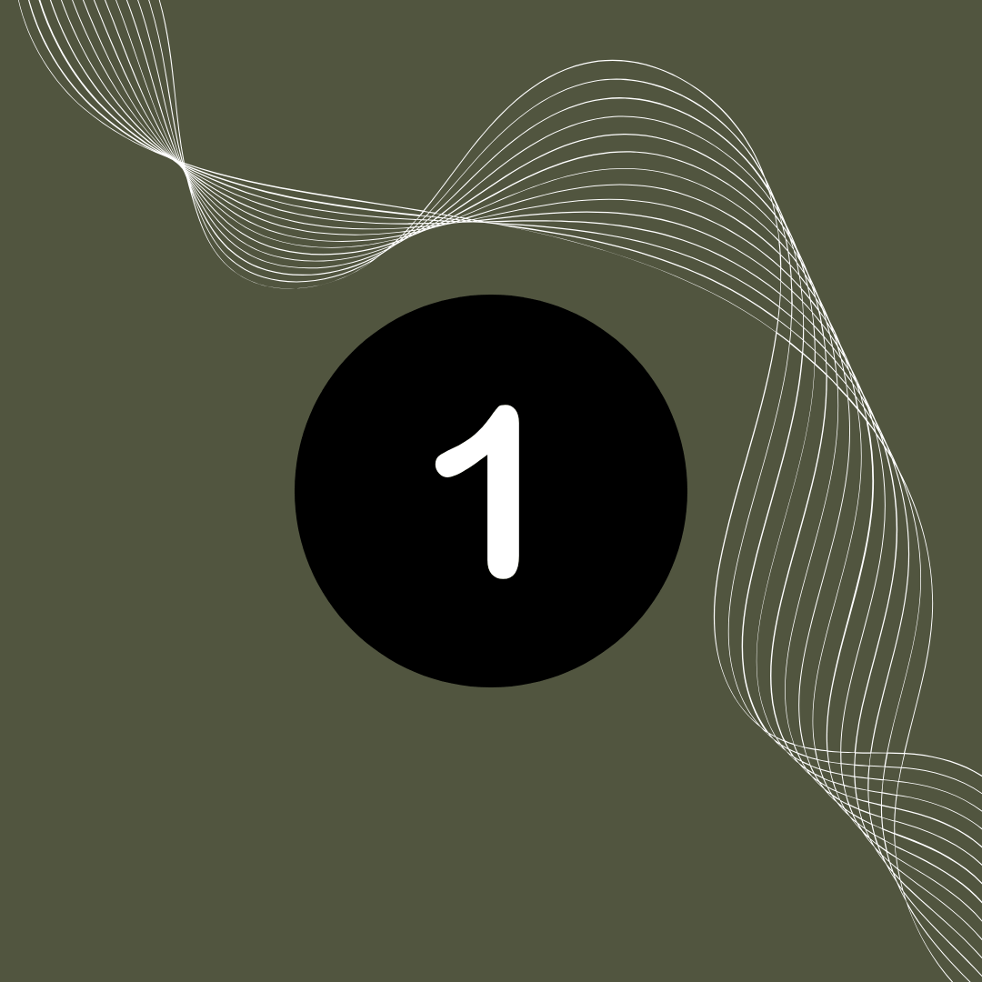 Sunshine Coast Website Design Discovery & Consultation