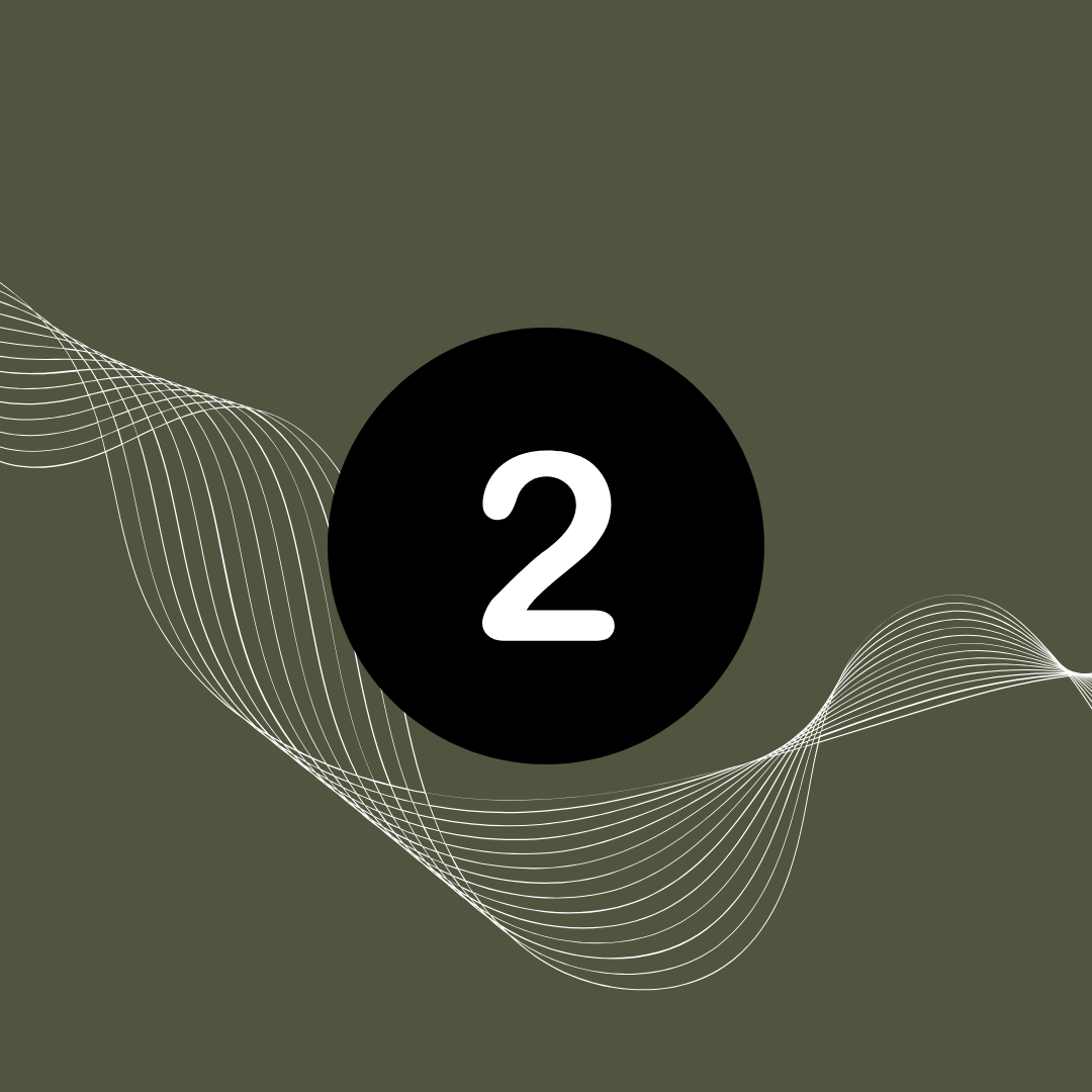 Sunshine Coast Website Strategy & Design