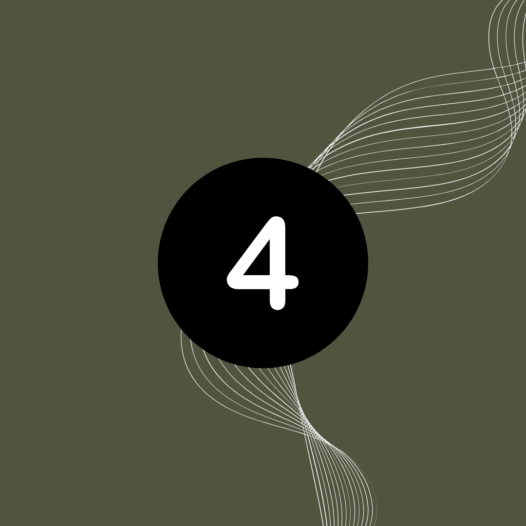 Sunshine Coast Website Launch & Optimisation