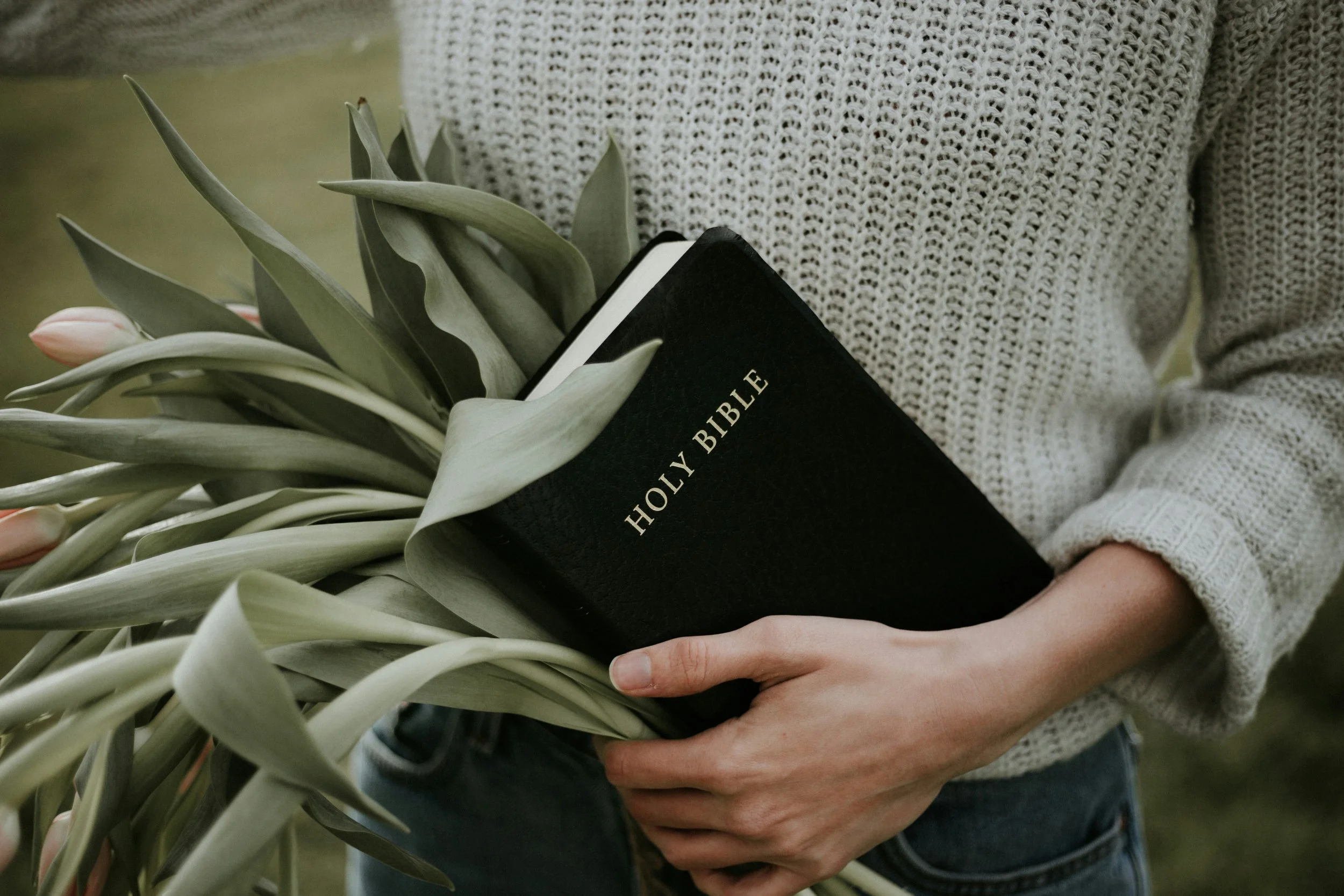 What is Biblical Counselling?