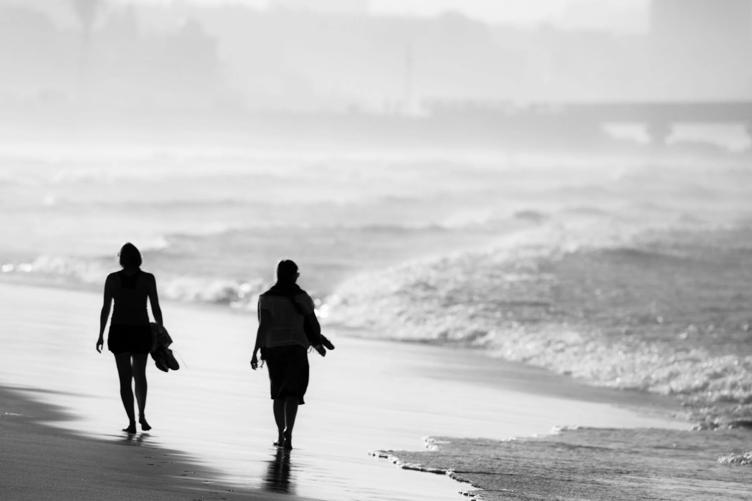 What Is The Difference Between a Life Coach And a Counsellor?