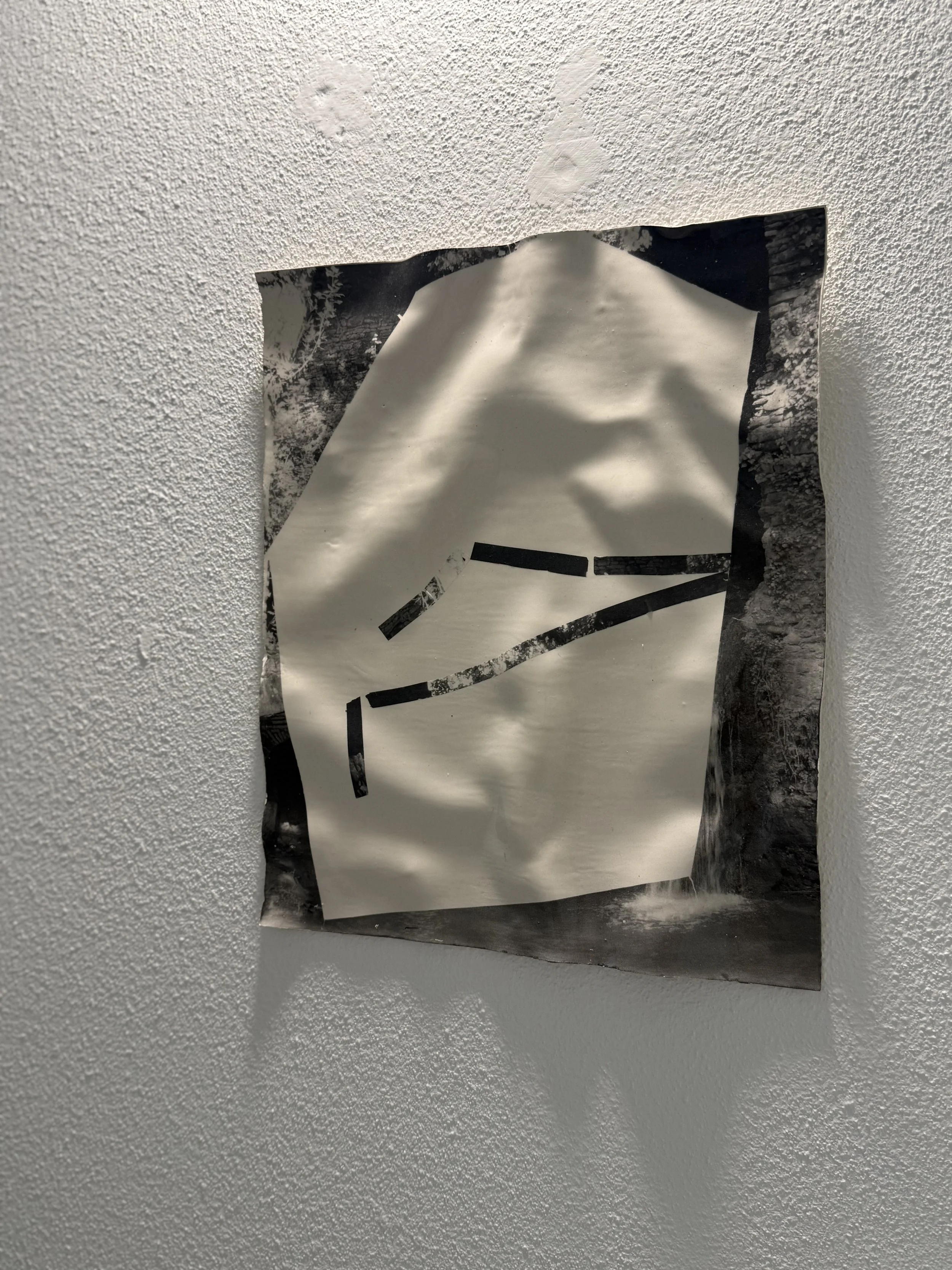 IMG_5915 (1).jpeg