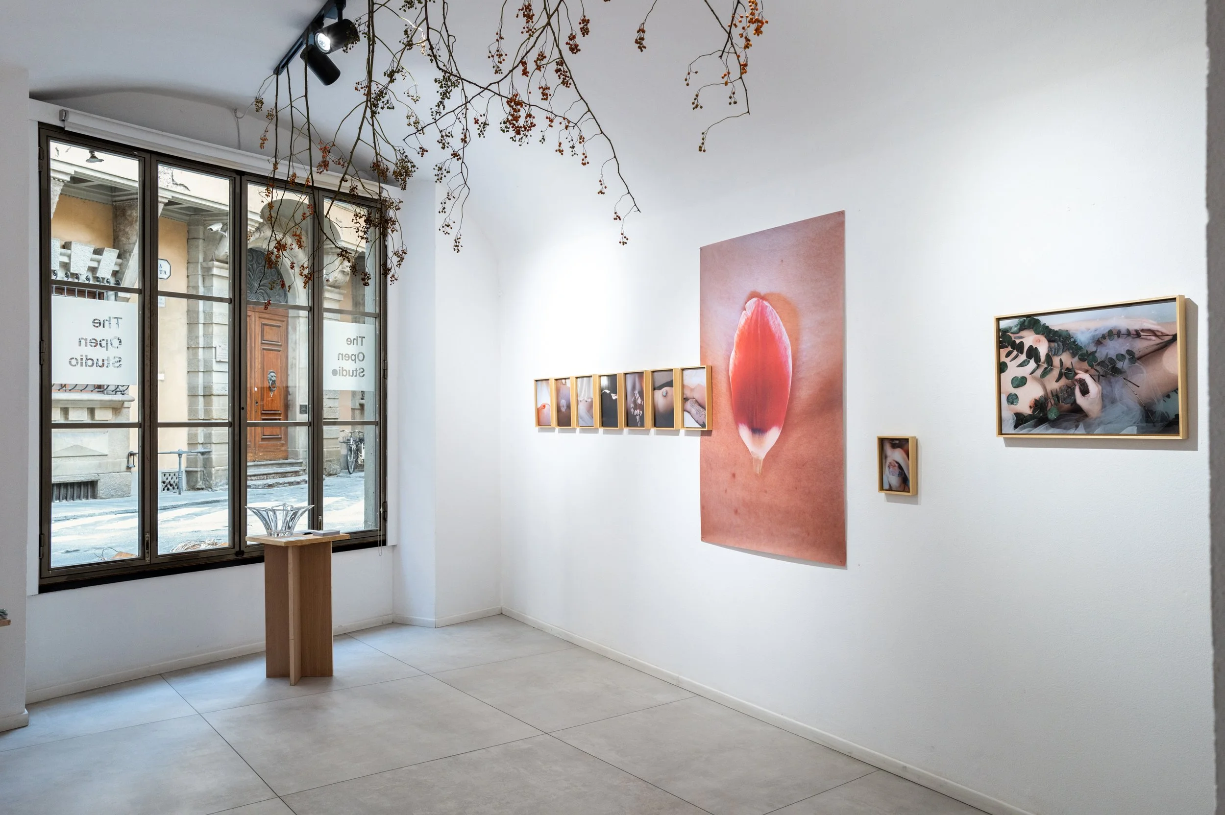 L1024244.jpg