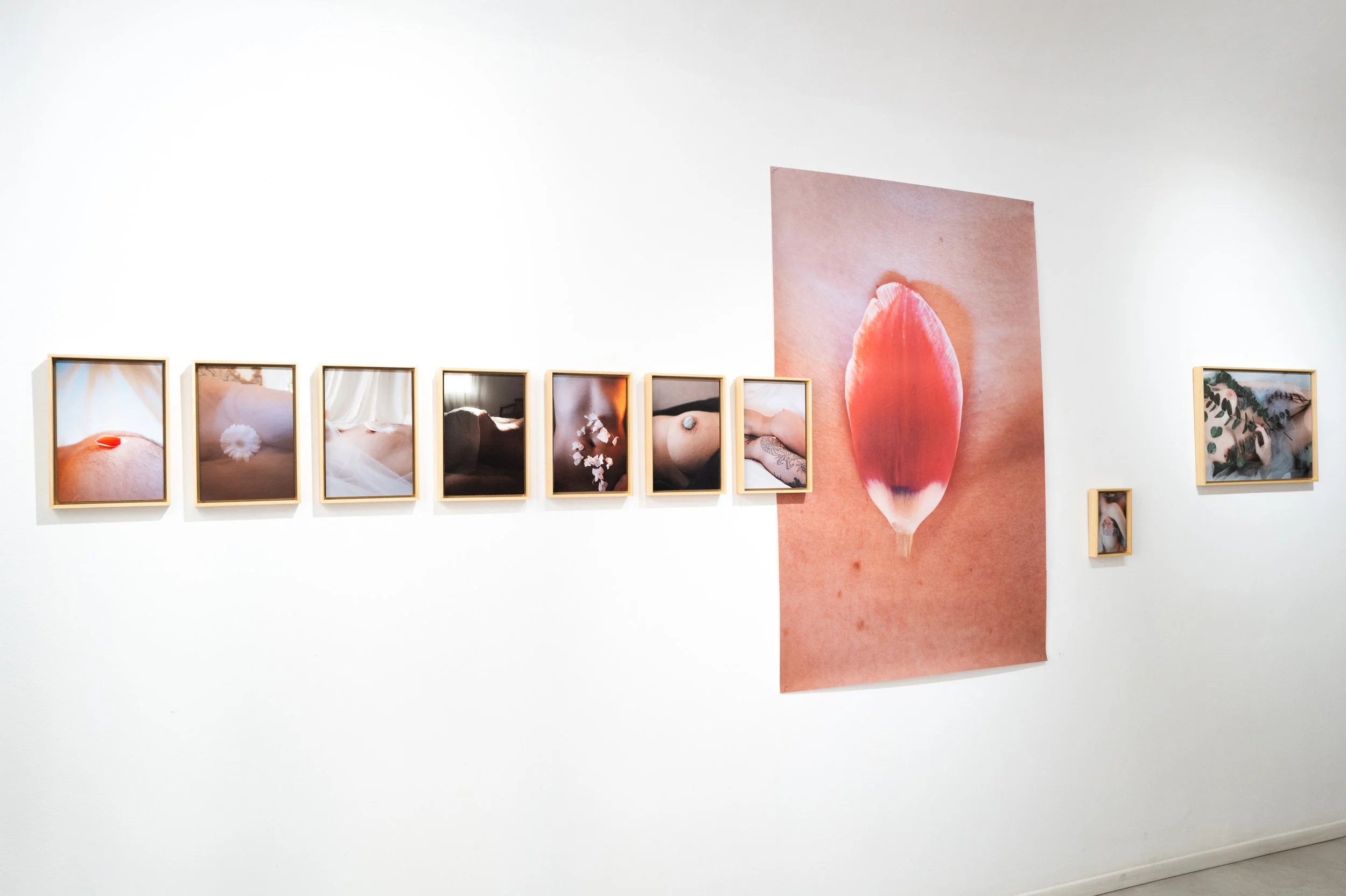 L1024237.jpg