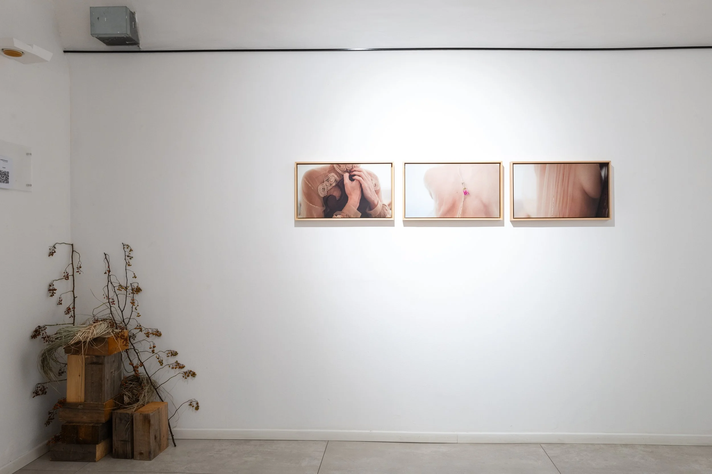 L1024295.jpg