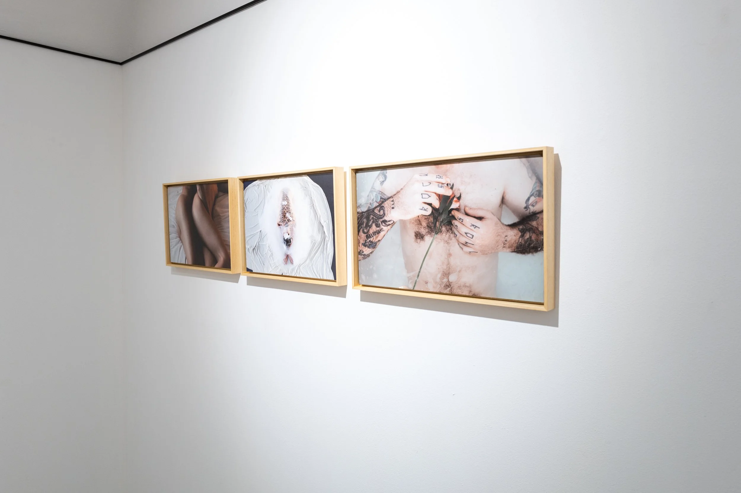L1024294.jpg