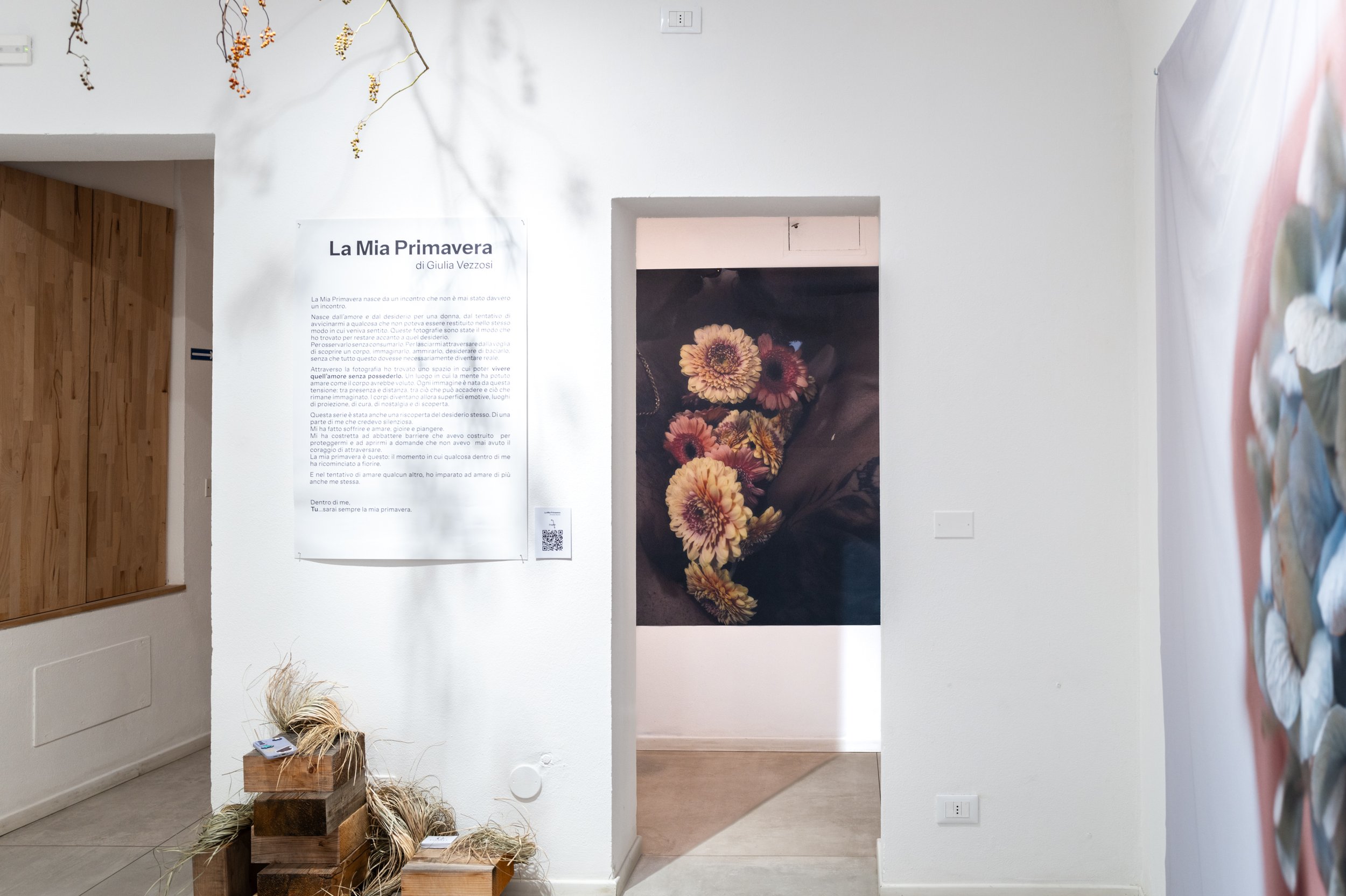 L1024246.jpg