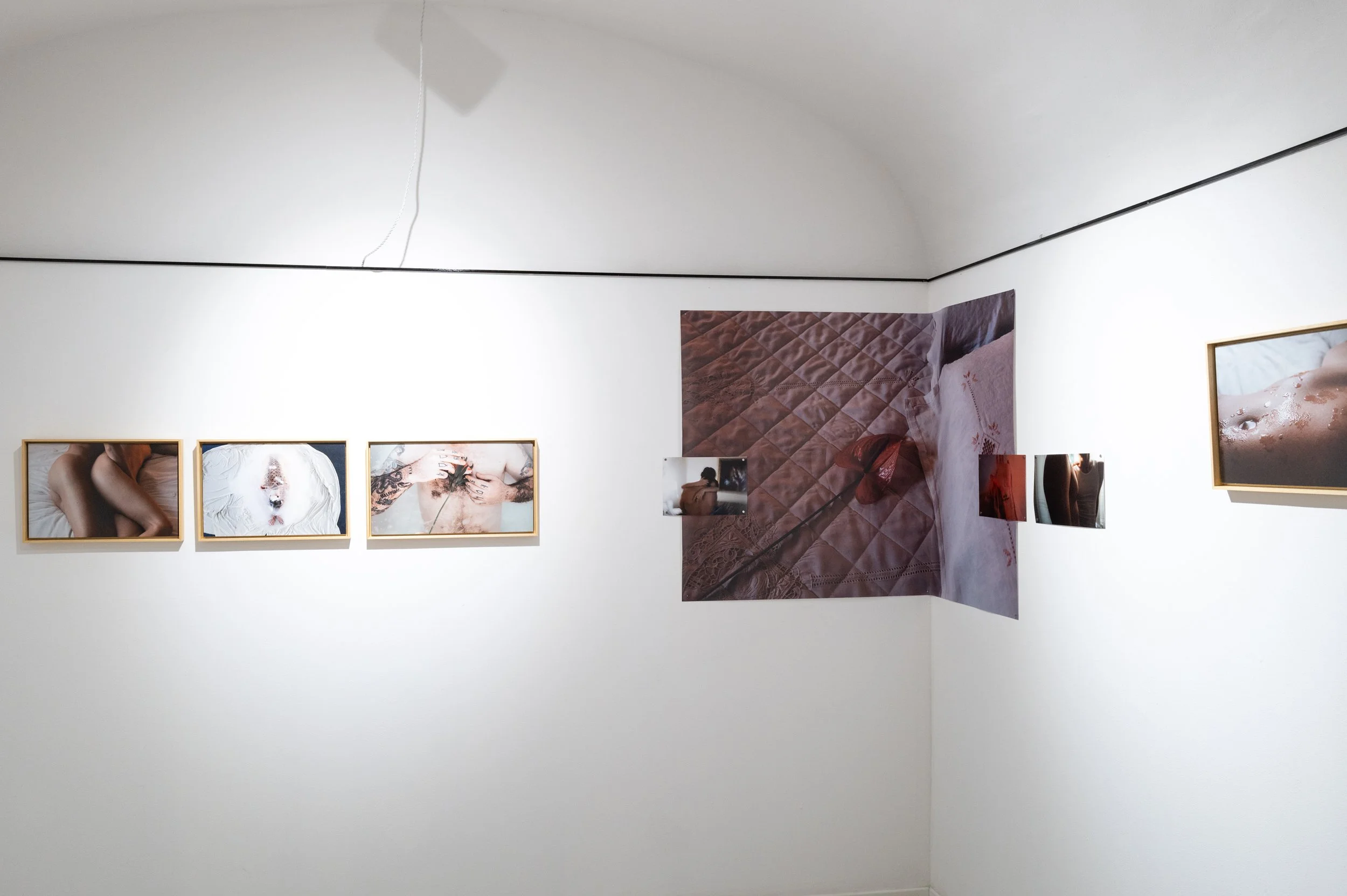 L1024285.jpg