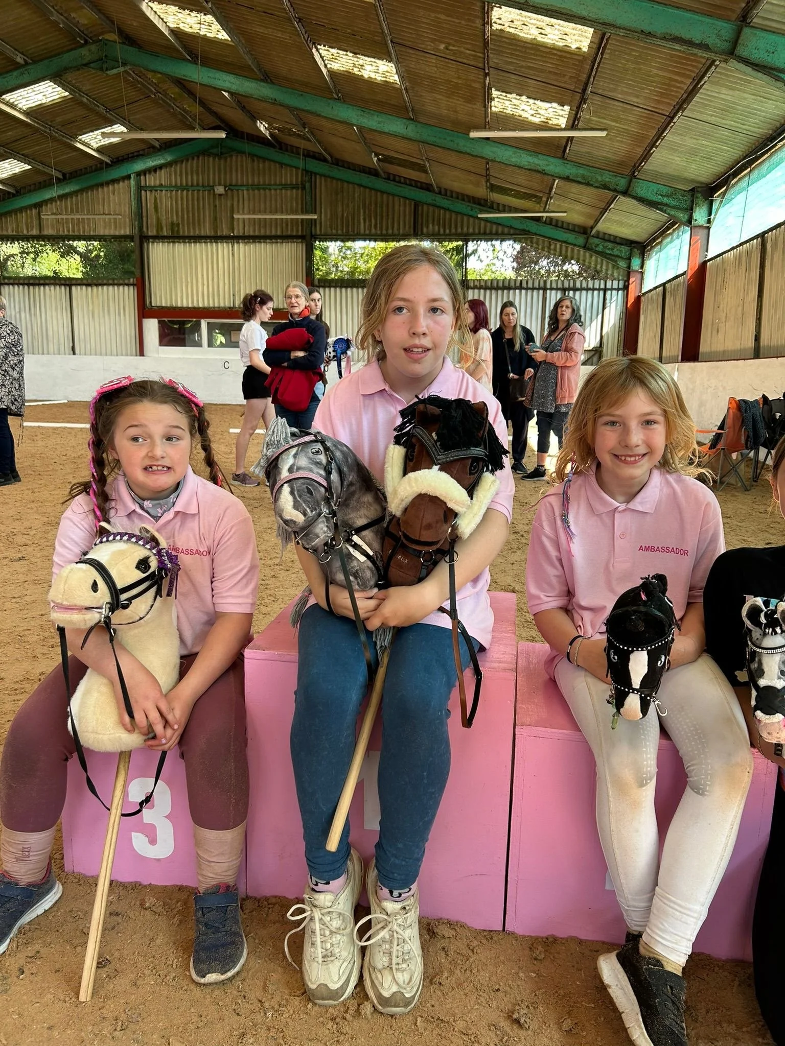 Sands Farm Equitation Centre