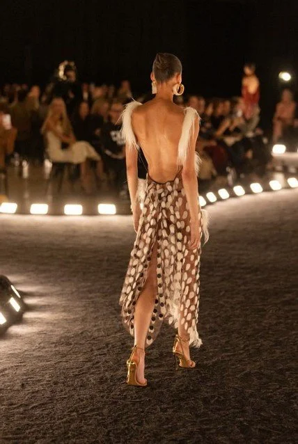 SCHIAPARELLI3.jpg