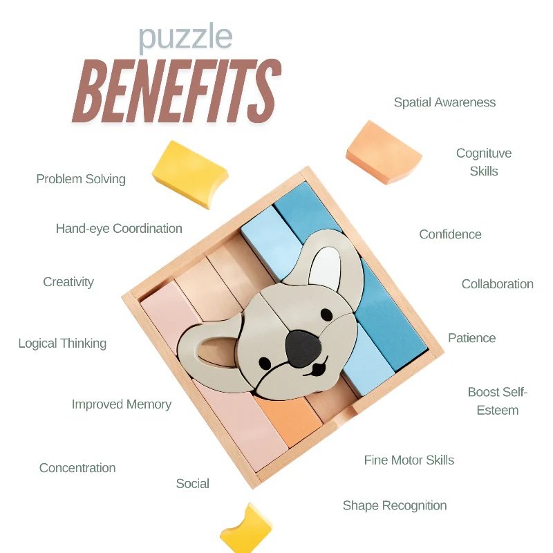 Stellavan & Papa ~ 3-in-1 Small Block Puzzle, Koala6.jpeg