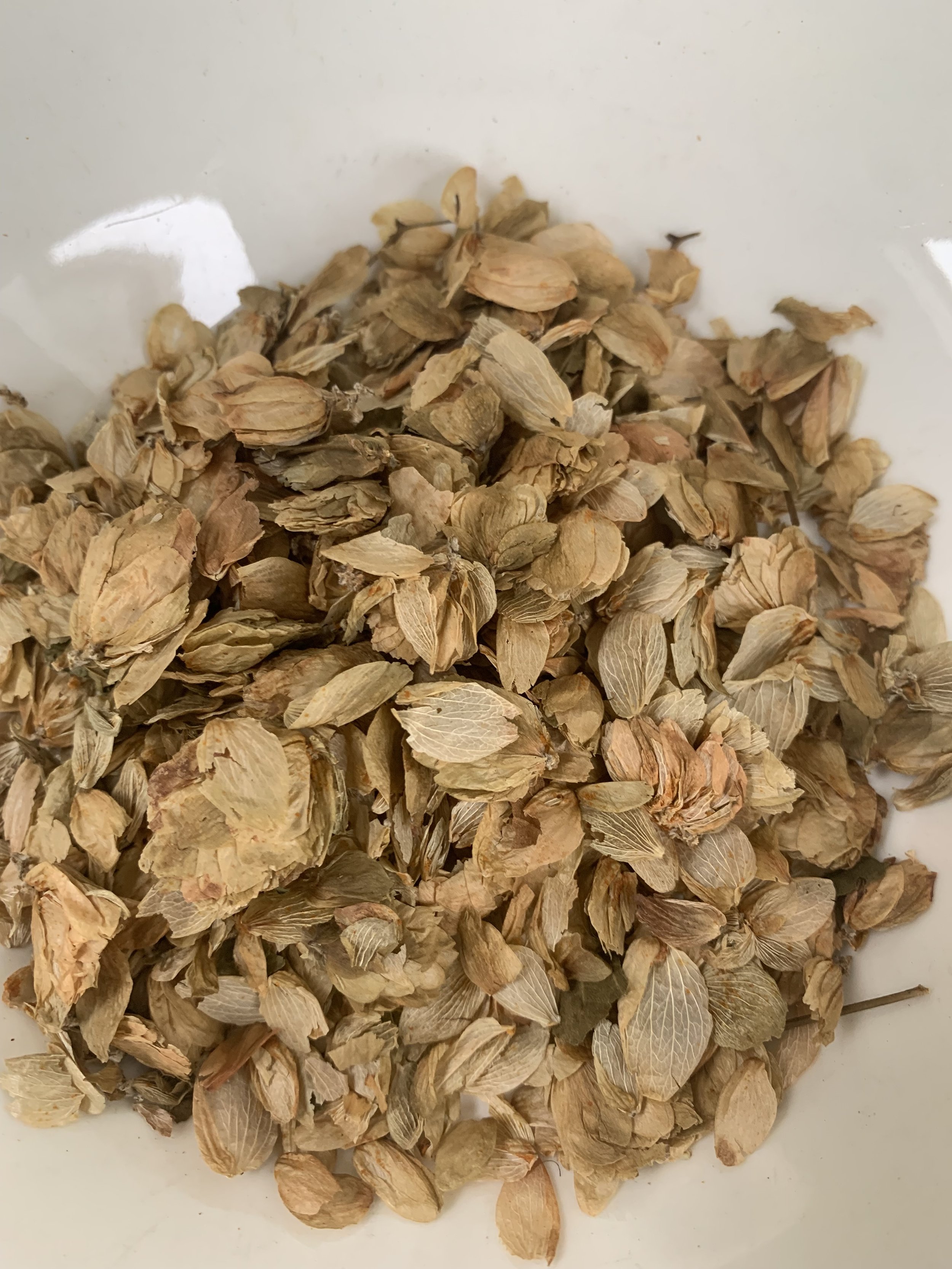 Dried Hops It's great for a bedtime tea because of its sedative properties.