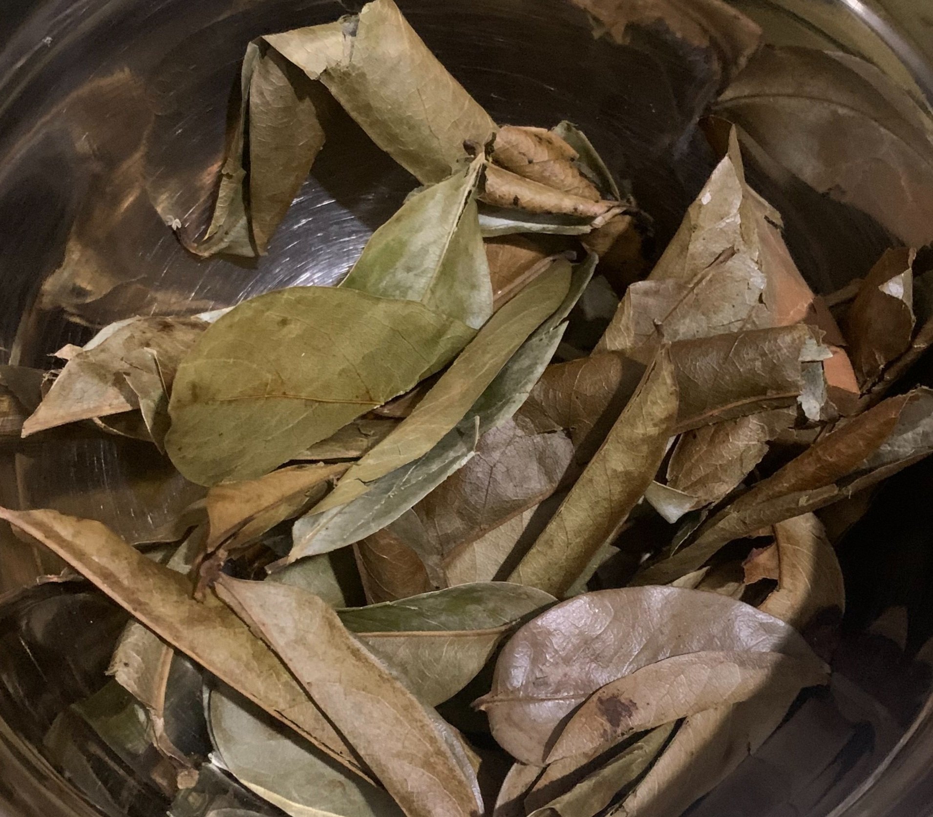 Soursop (Leaves) 10g