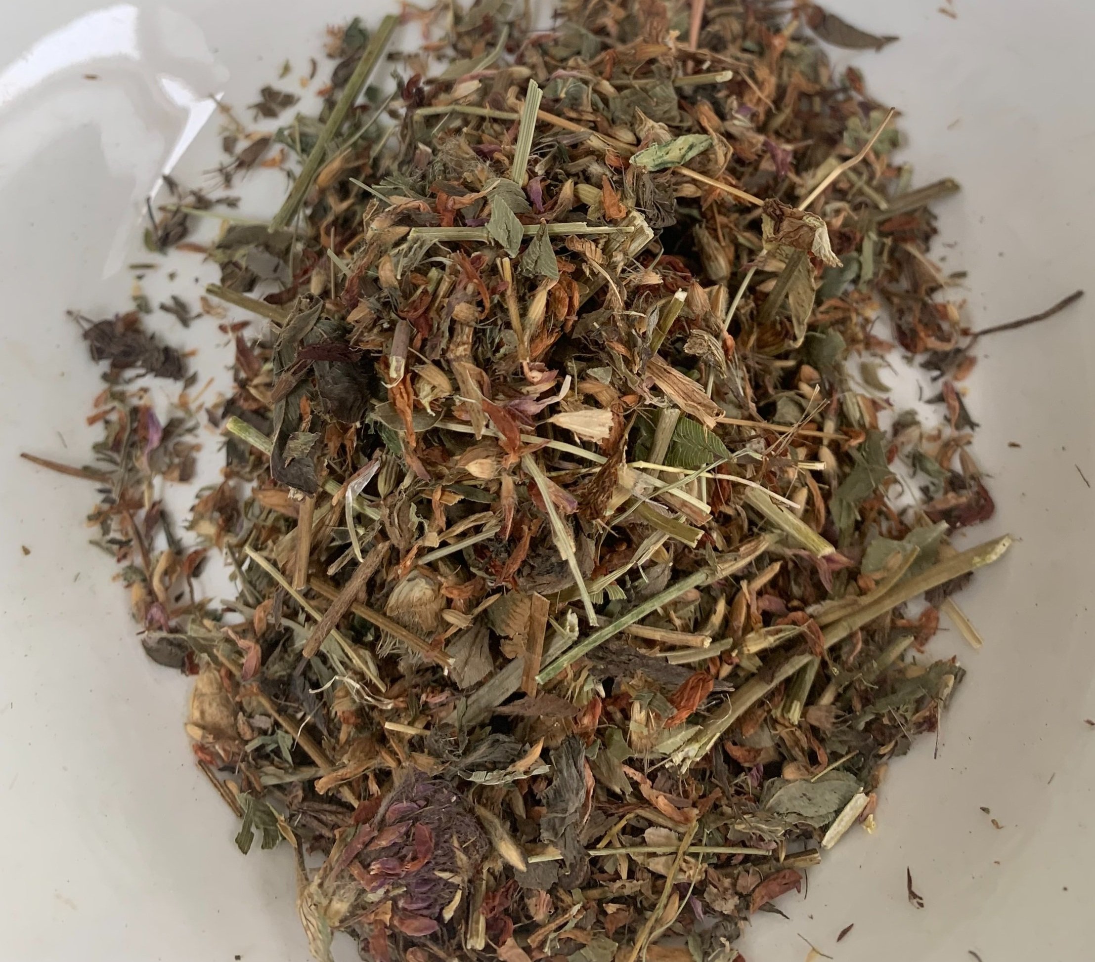 Red+clover+flower1.jpg
