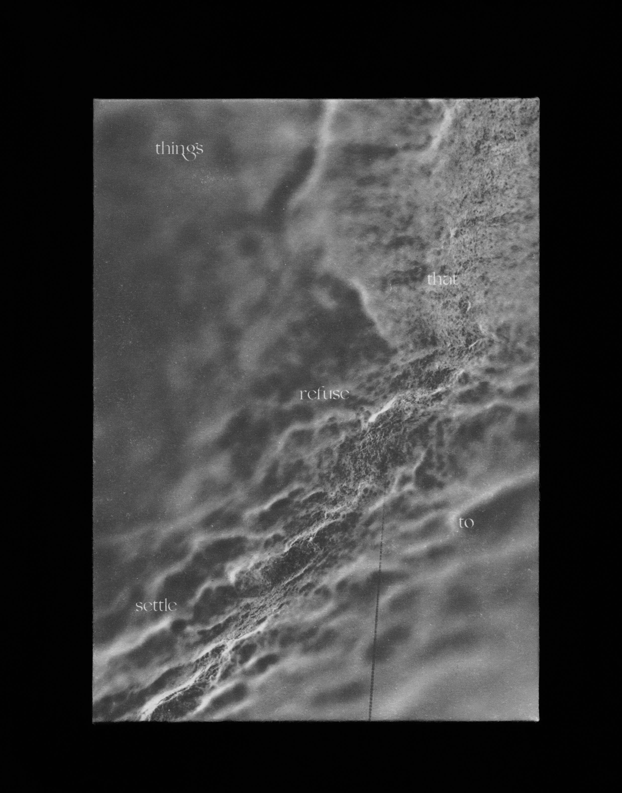 Untitled (24) 2-2.jpg