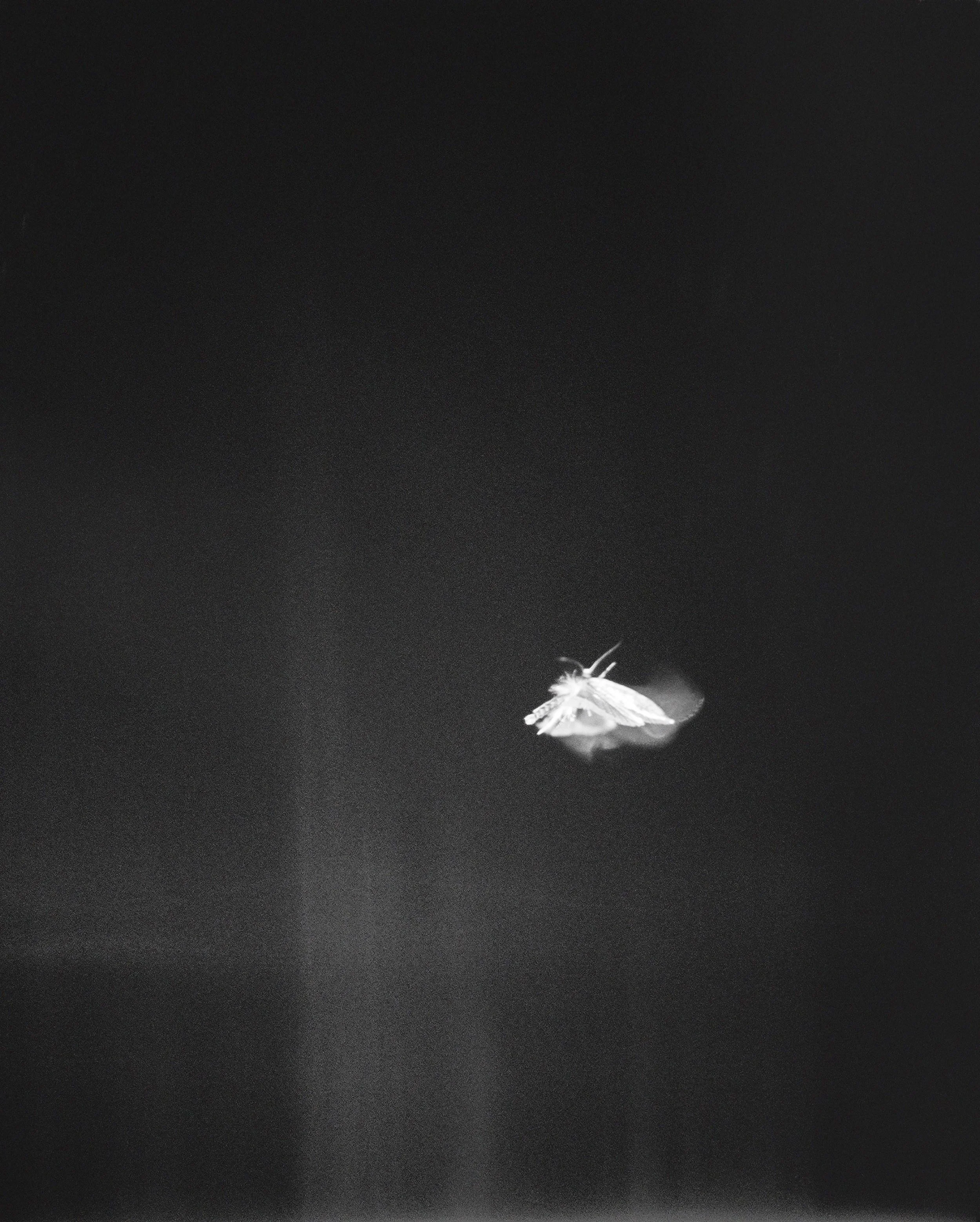 YuhangWang_Things that refuse to settle_3.jpg