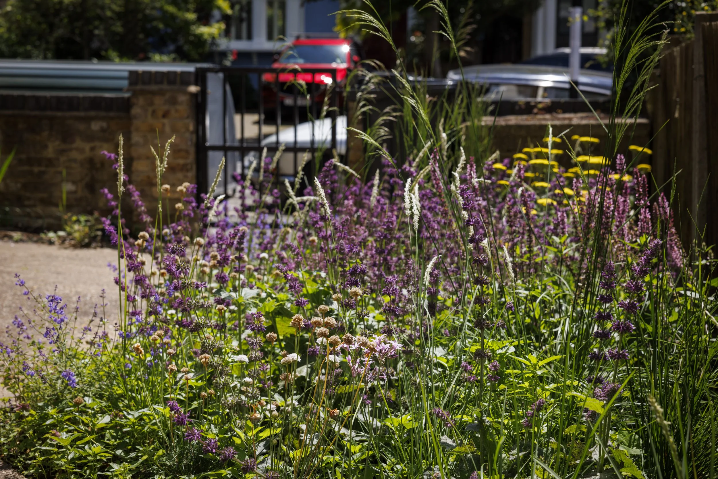 garden-27.jpg