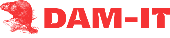 DAM-IT