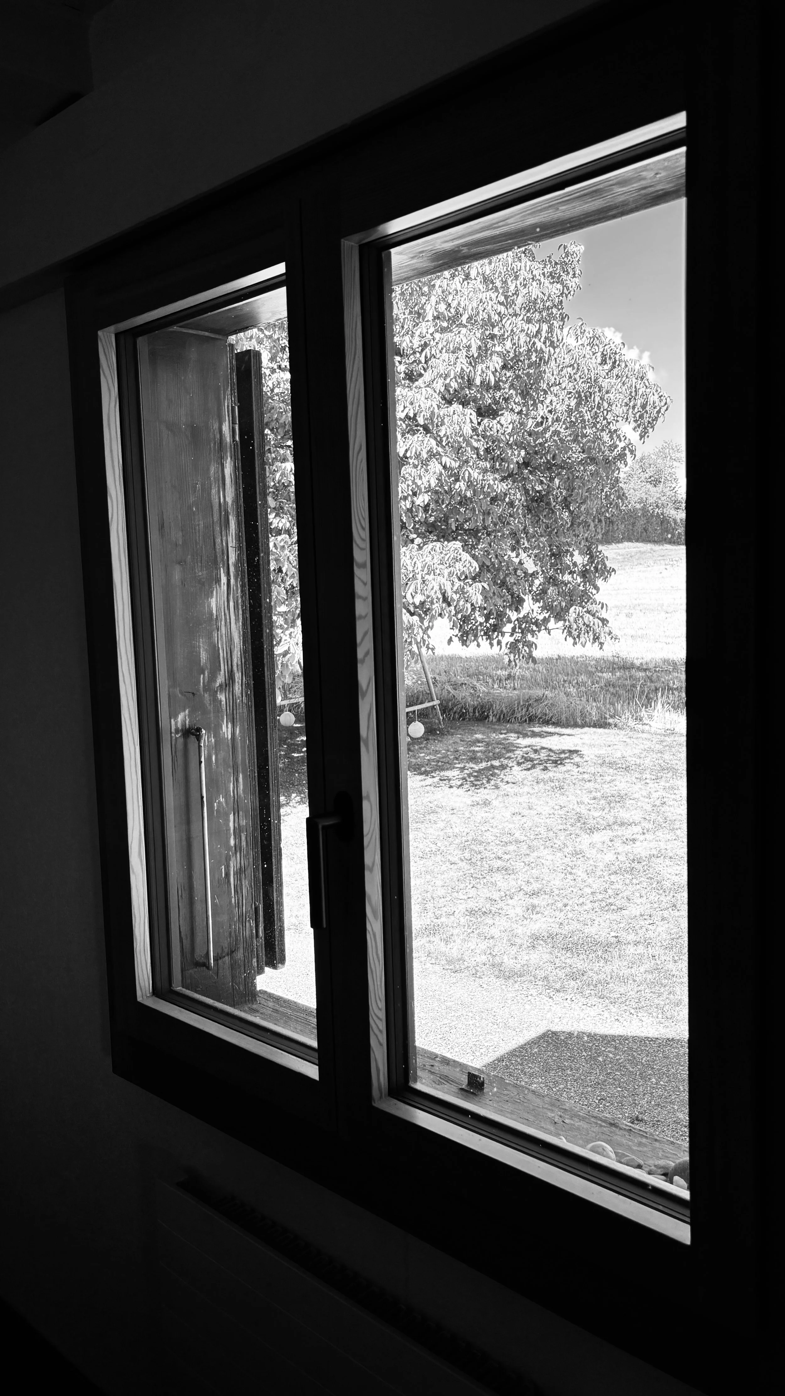 Vue d'une fenêtre ouverte donnant sur un jardin avec un arbre et un espace gazonné, photo en noir et blanc.
