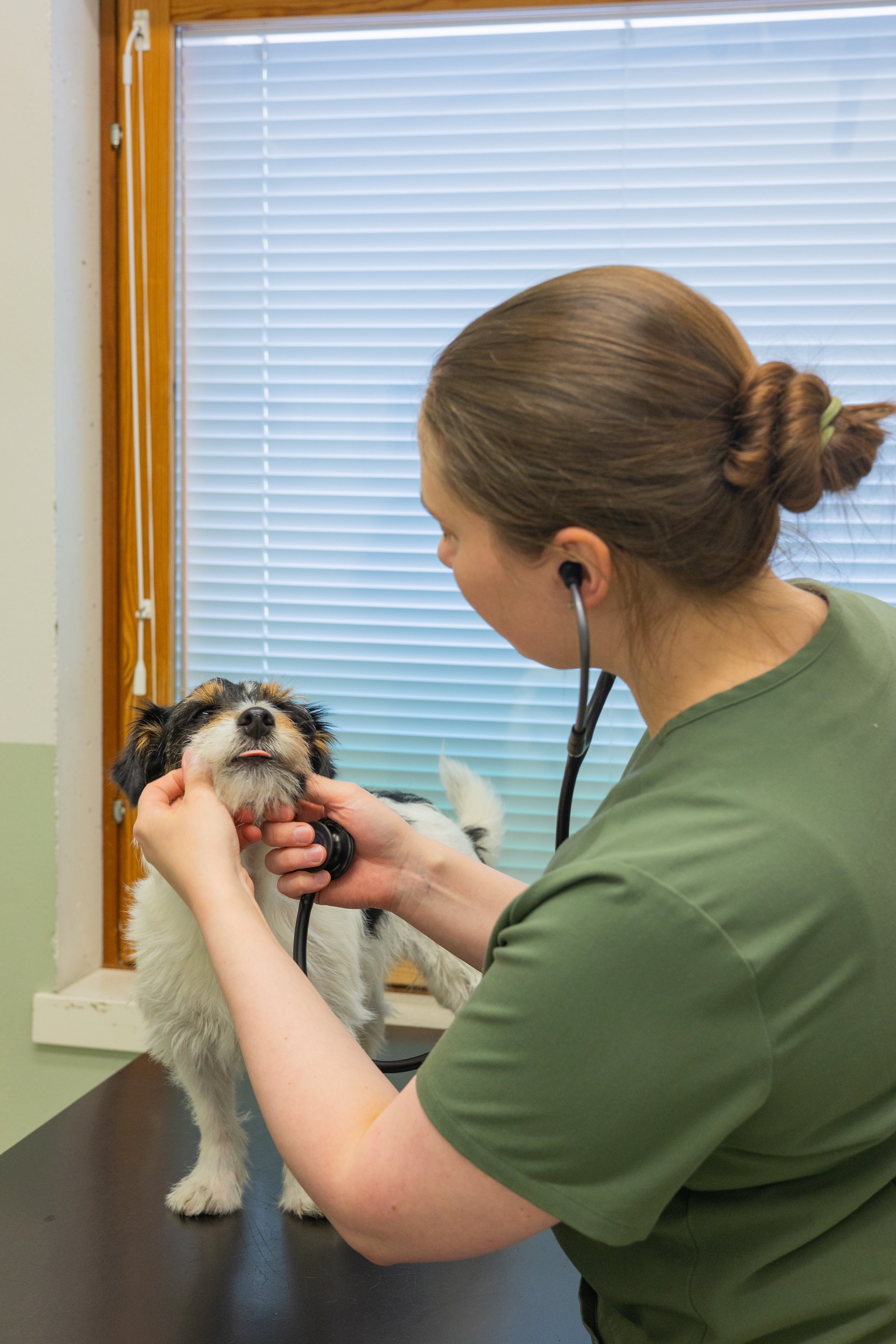 Sisällöntuotantoa ja kuvapankkikuvauksia someen ja verkkosivuille yrityksille
