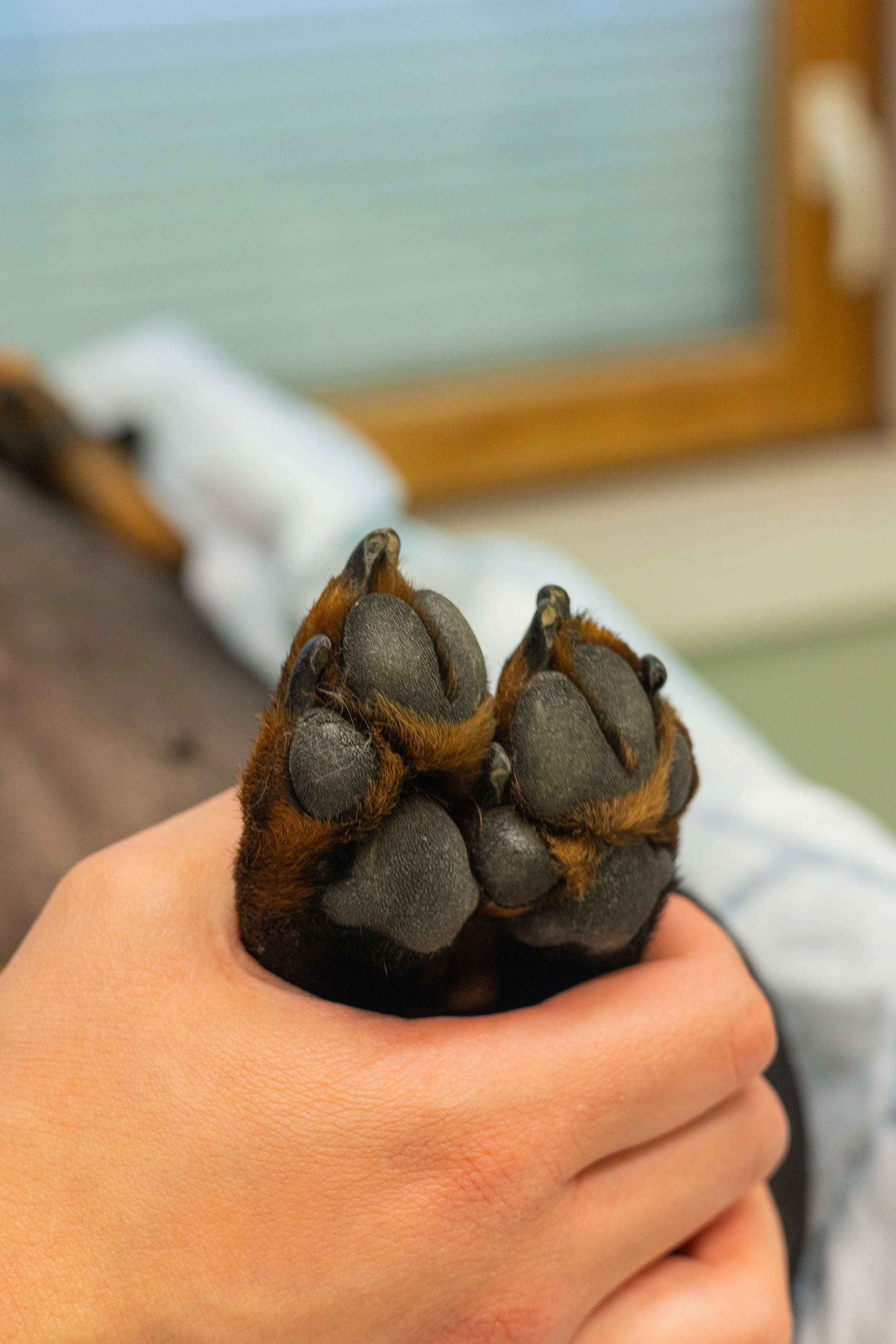 Valokuvausta yrityksille ja yrittäjille, somekuvat ja kuvat verkkosivuille sekä sisällöntuotantoon