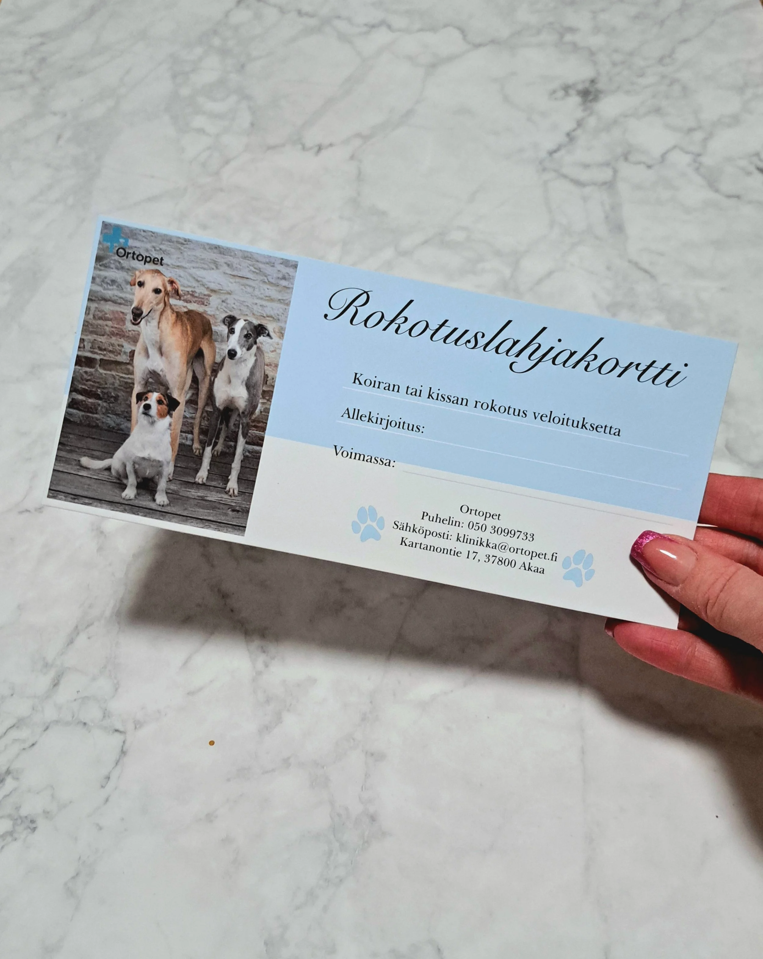 graafinen suunnittelija, graafikko, lahjakortti