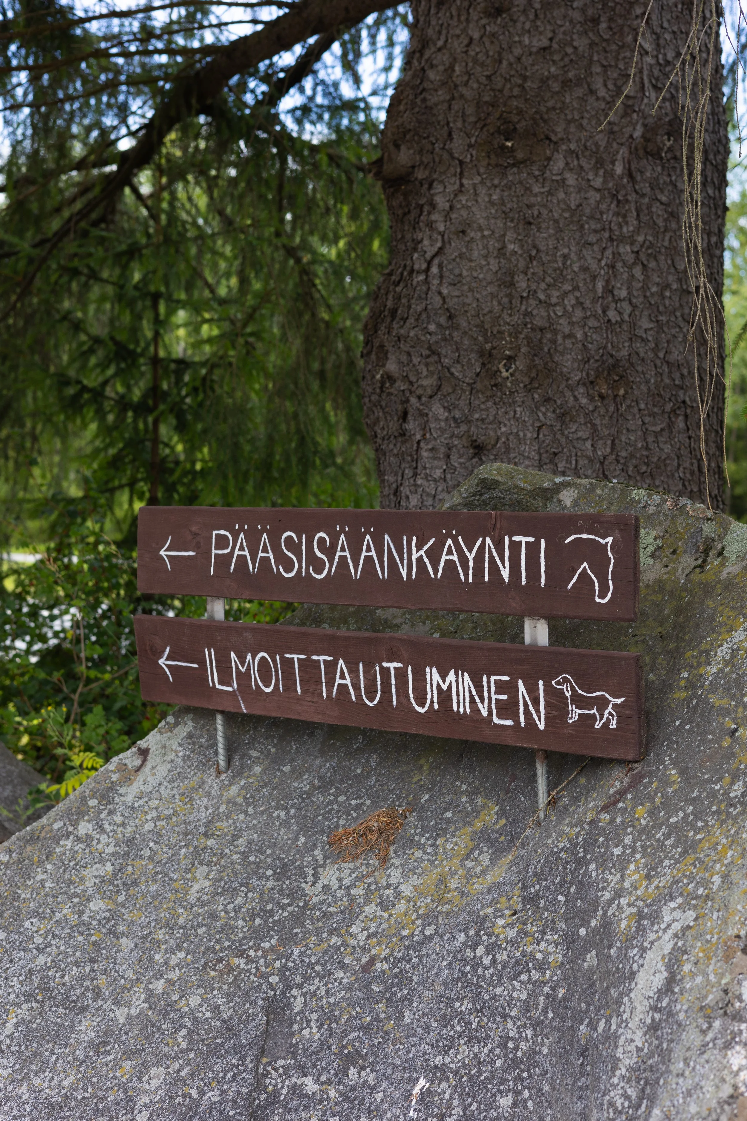 Kuvapankkikuvausta yrityksille ja yrittäjille someen, verkkosivuille ja muualle mediaan