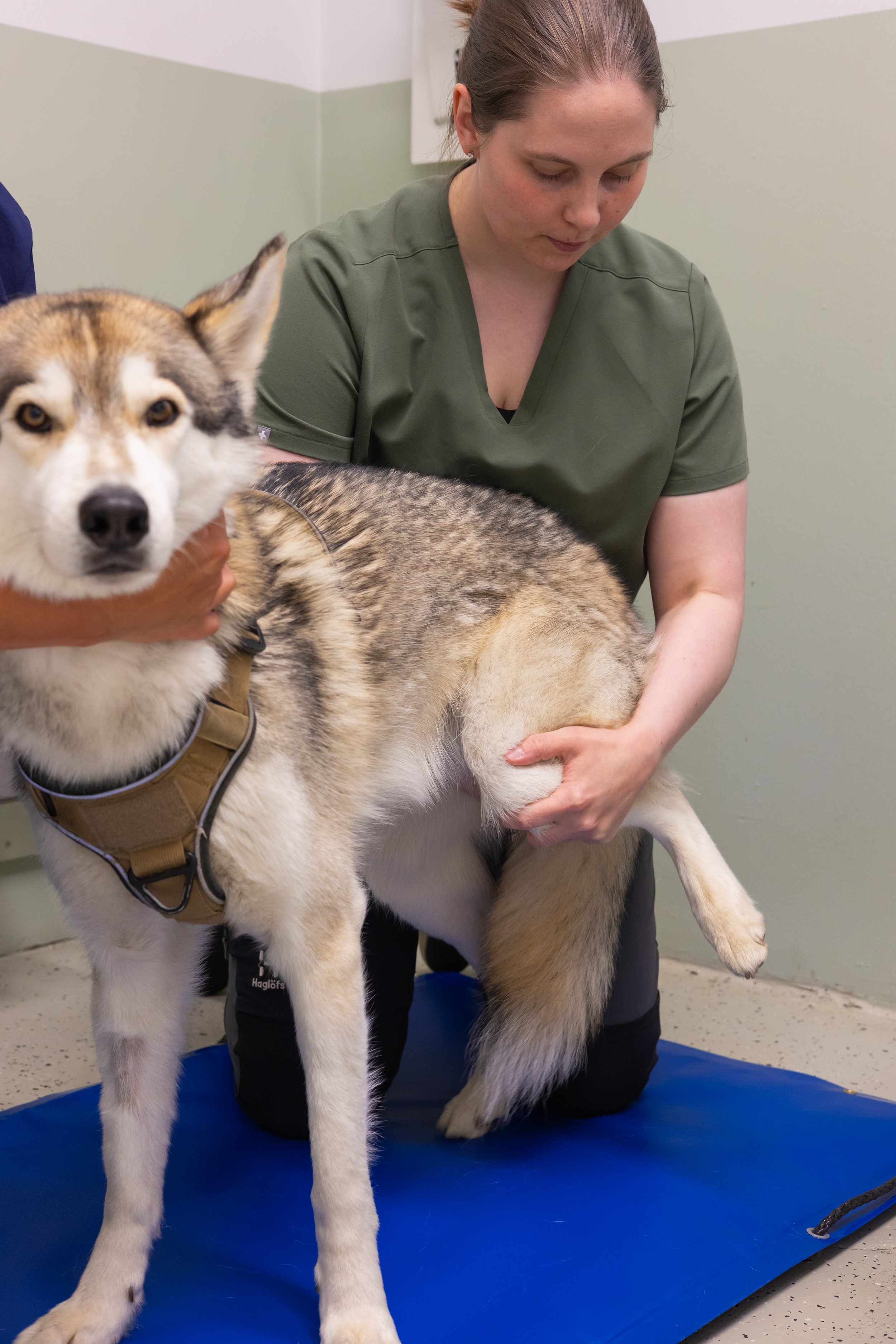 Kuvaukset sisällöntuotantoon ja verkkosivuille, yrityksille ja yrittäjille