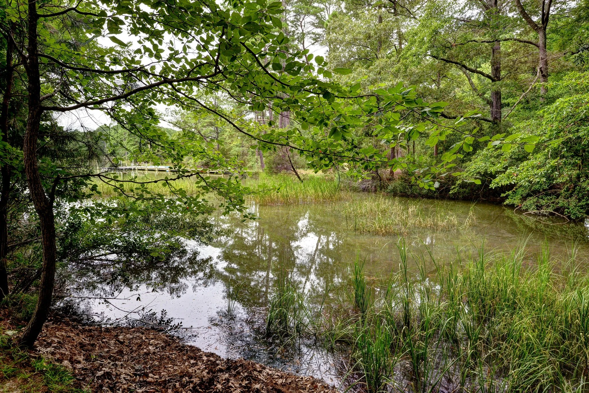 A peaceful pond surrounded by lush green trees and plants, with reflections on the water's surface and a small white bridge in the distance.