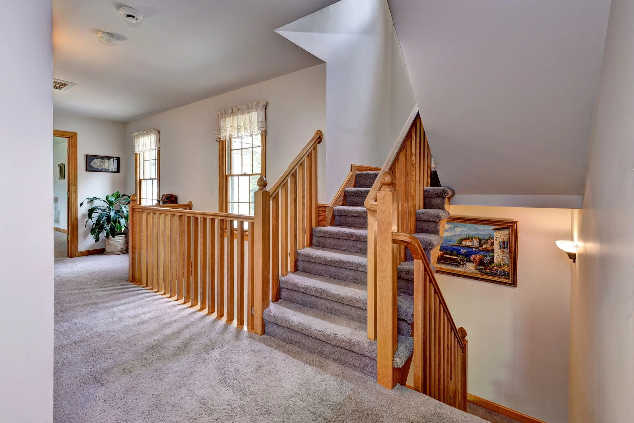 Interior view of a staircase with wooden railing, carpeted steps, and a hallway with windows and a potted plant.