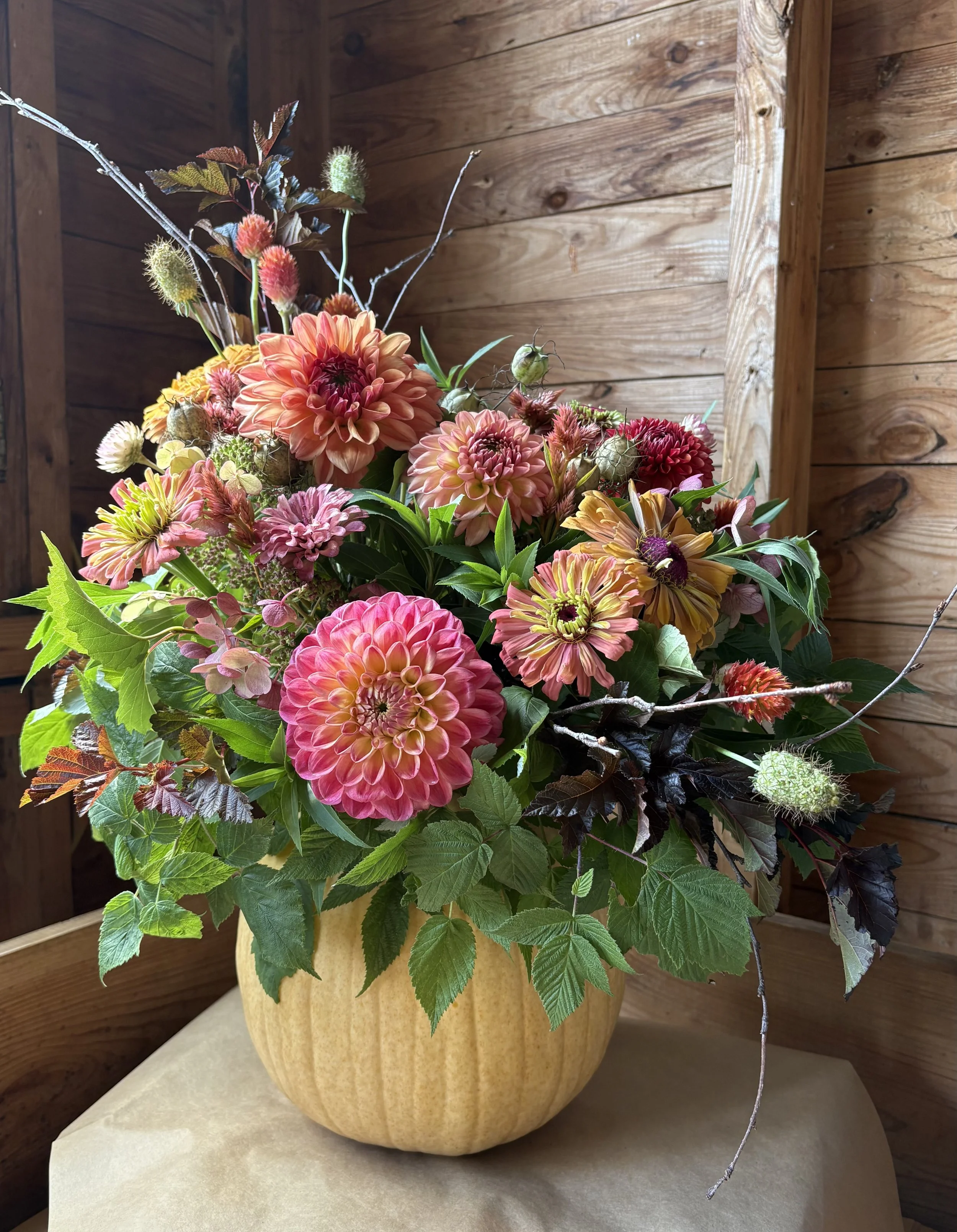 No Carve Pumpkin Floral Class 