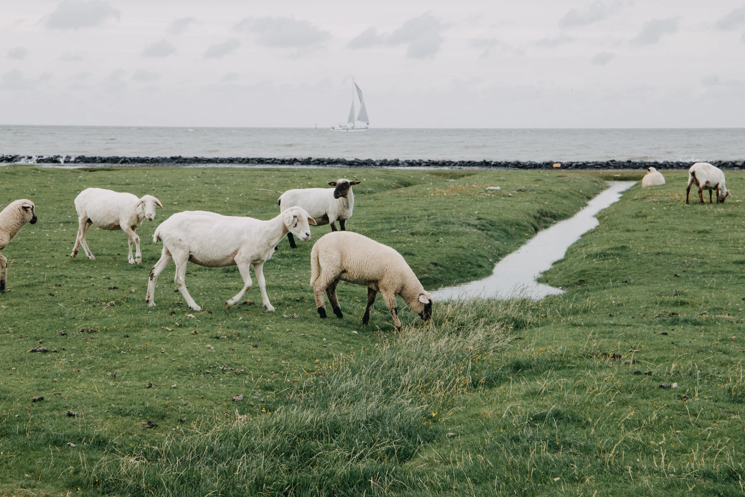 Katharina.Bill.Cuxhaven-5291.jpg