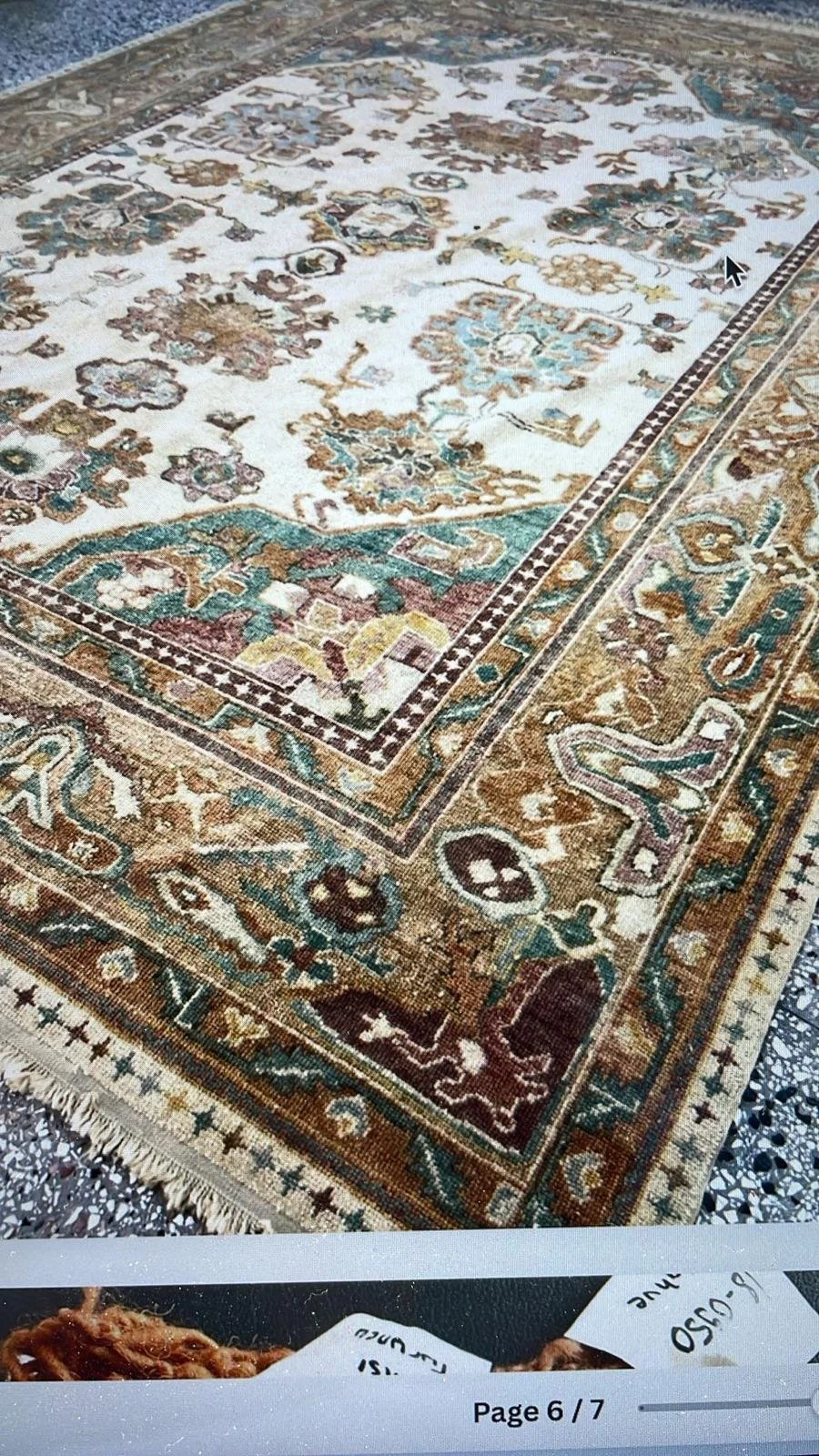 PHOTO-2026-02-12-18-11-07 3.jpg