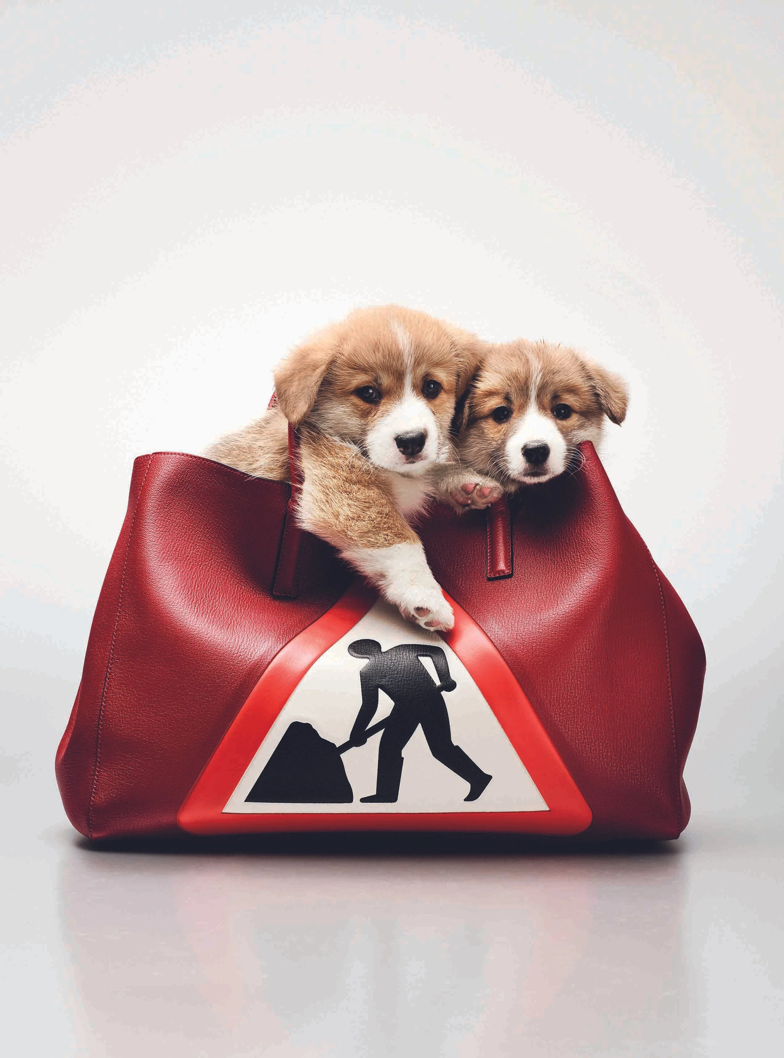 ACCESSORIES - BRITISH DOGS V54.jpg