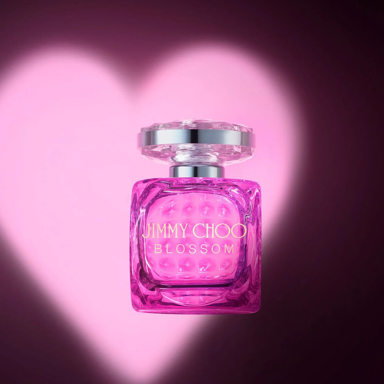 JIMMY CHOO_2024_VALENTINE'S DAY_BLOSSOM_1-1_NO LOGO.jpg