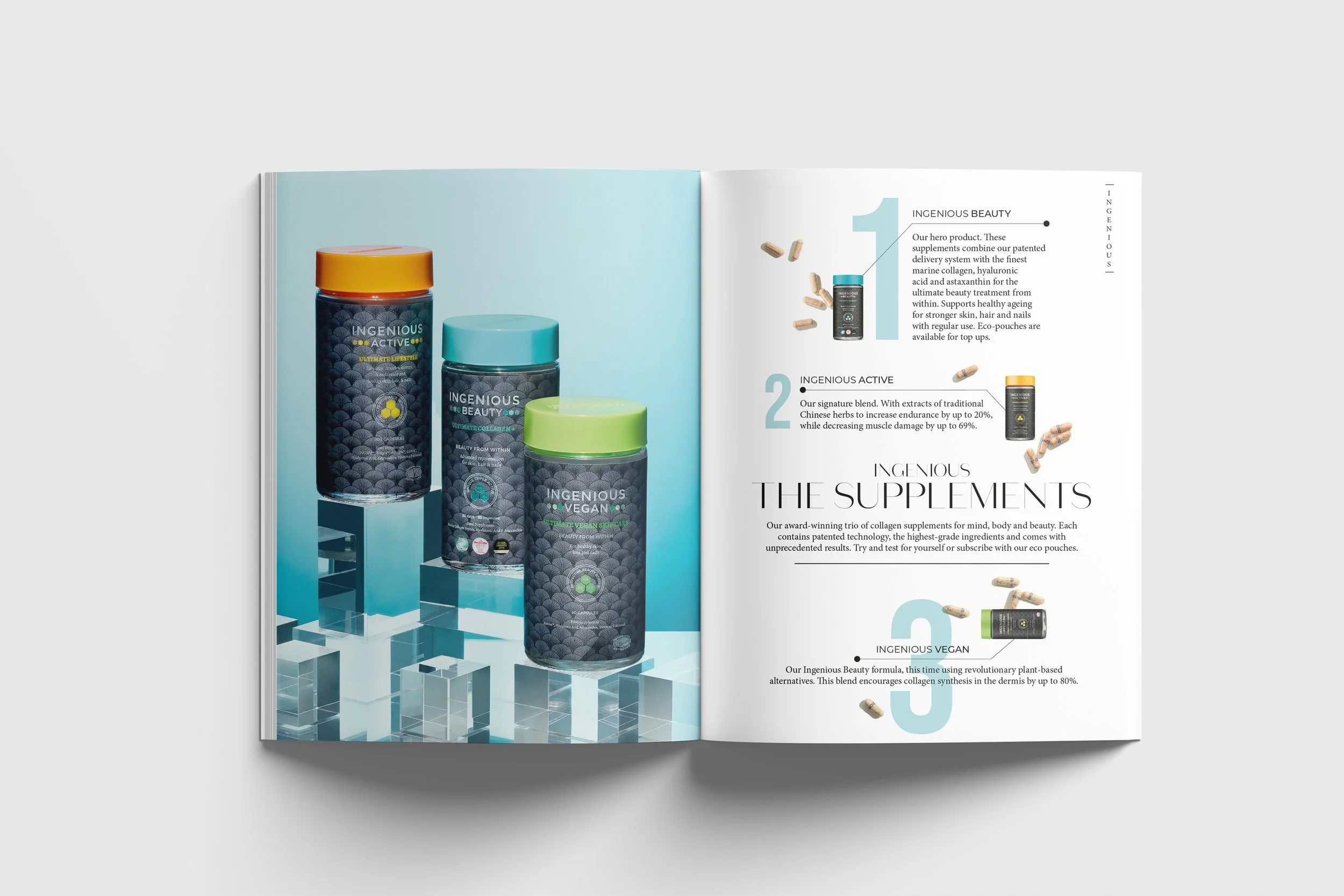 INGENIOUS Spread2.jpg