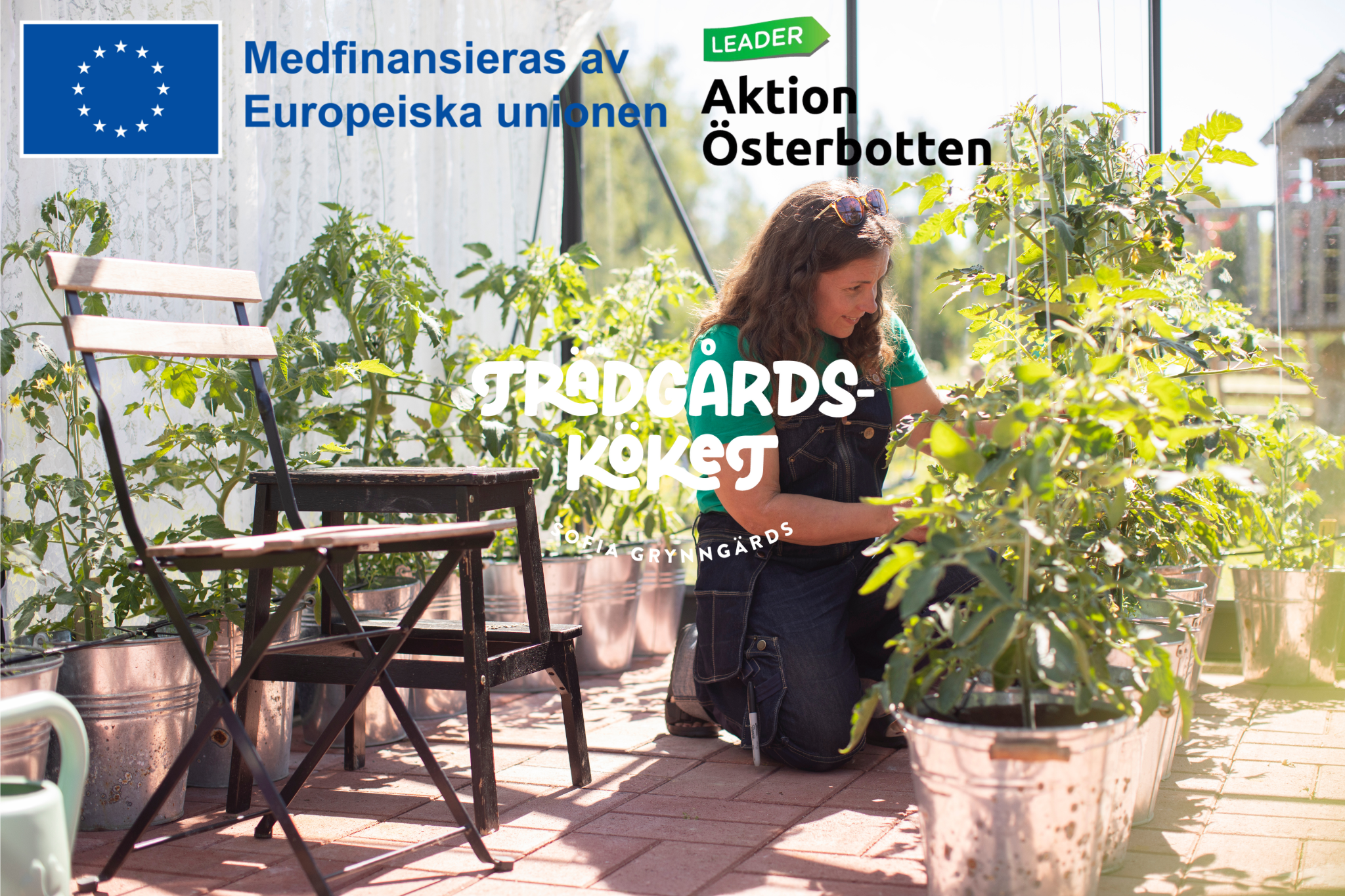 Leaderstöd för utveckling