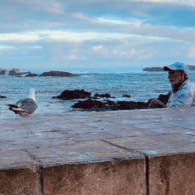 Man&Bird - Gallery Preview.jpg