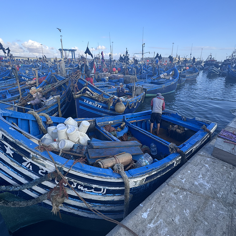 Boats in Harbor - Gallery Preview.png