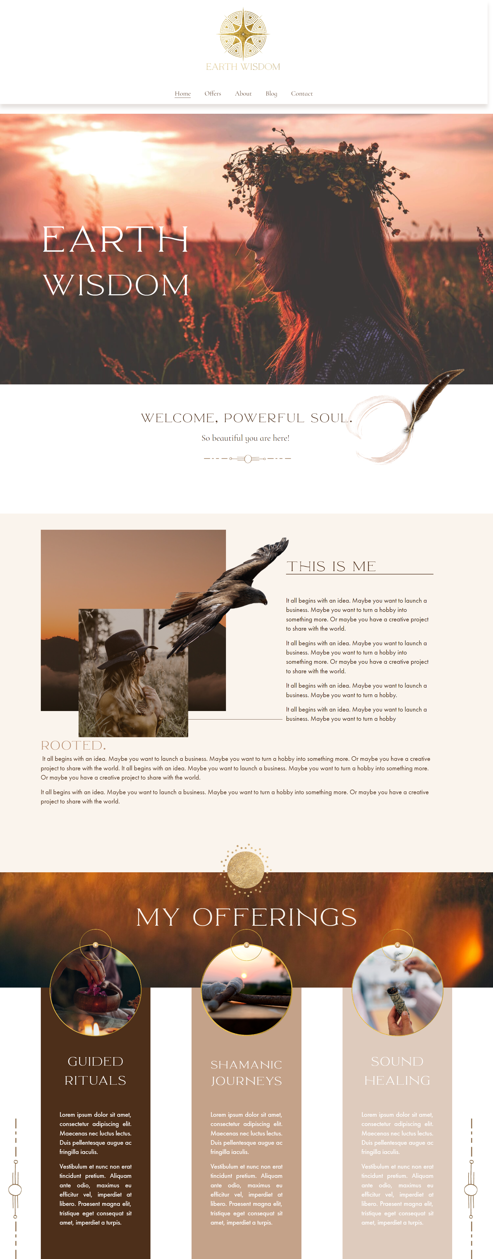 screencapture-templategaia-squarespace-2024-06-26-13_15_36+%281%29.png