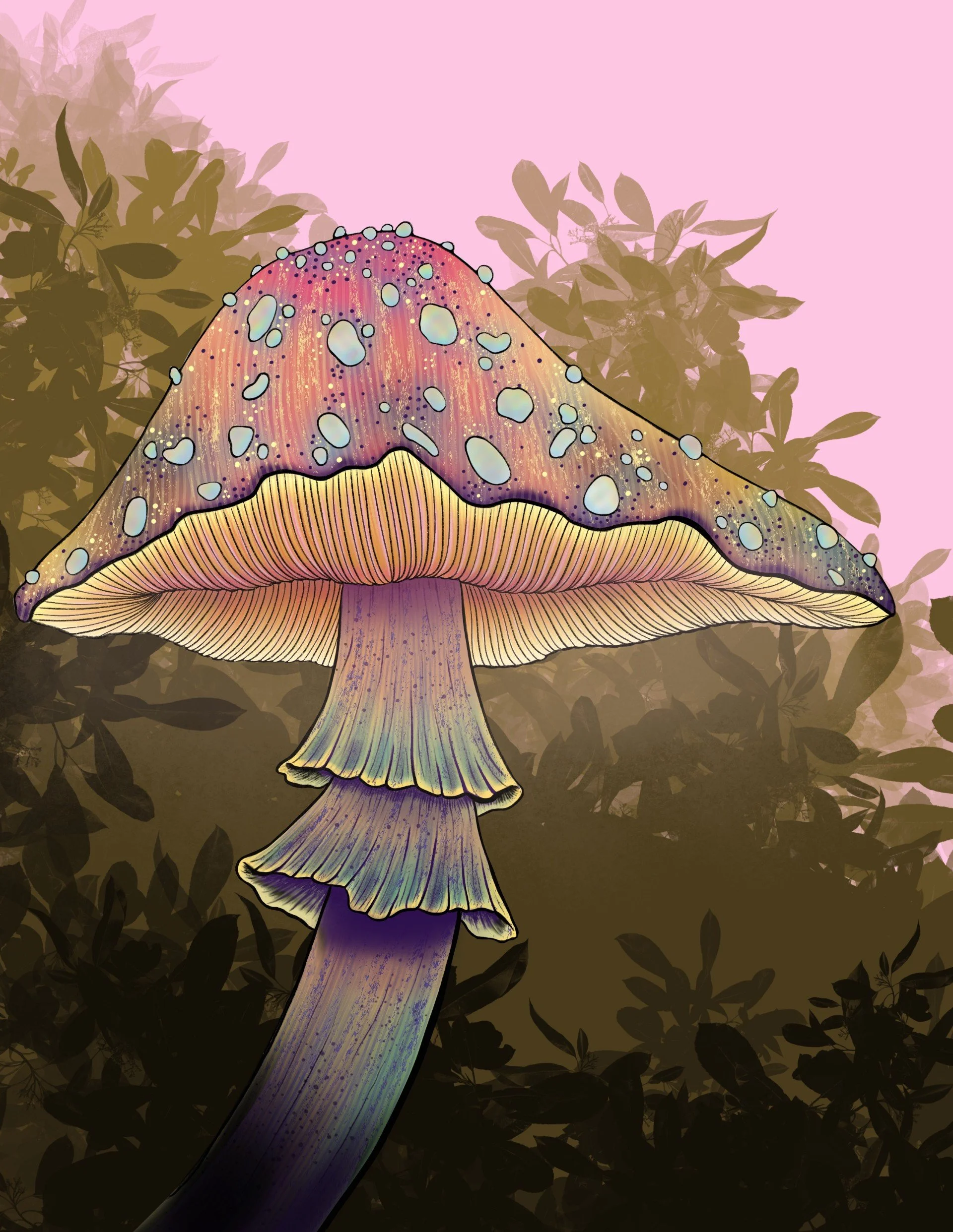 #56 Early Morning Shroom 