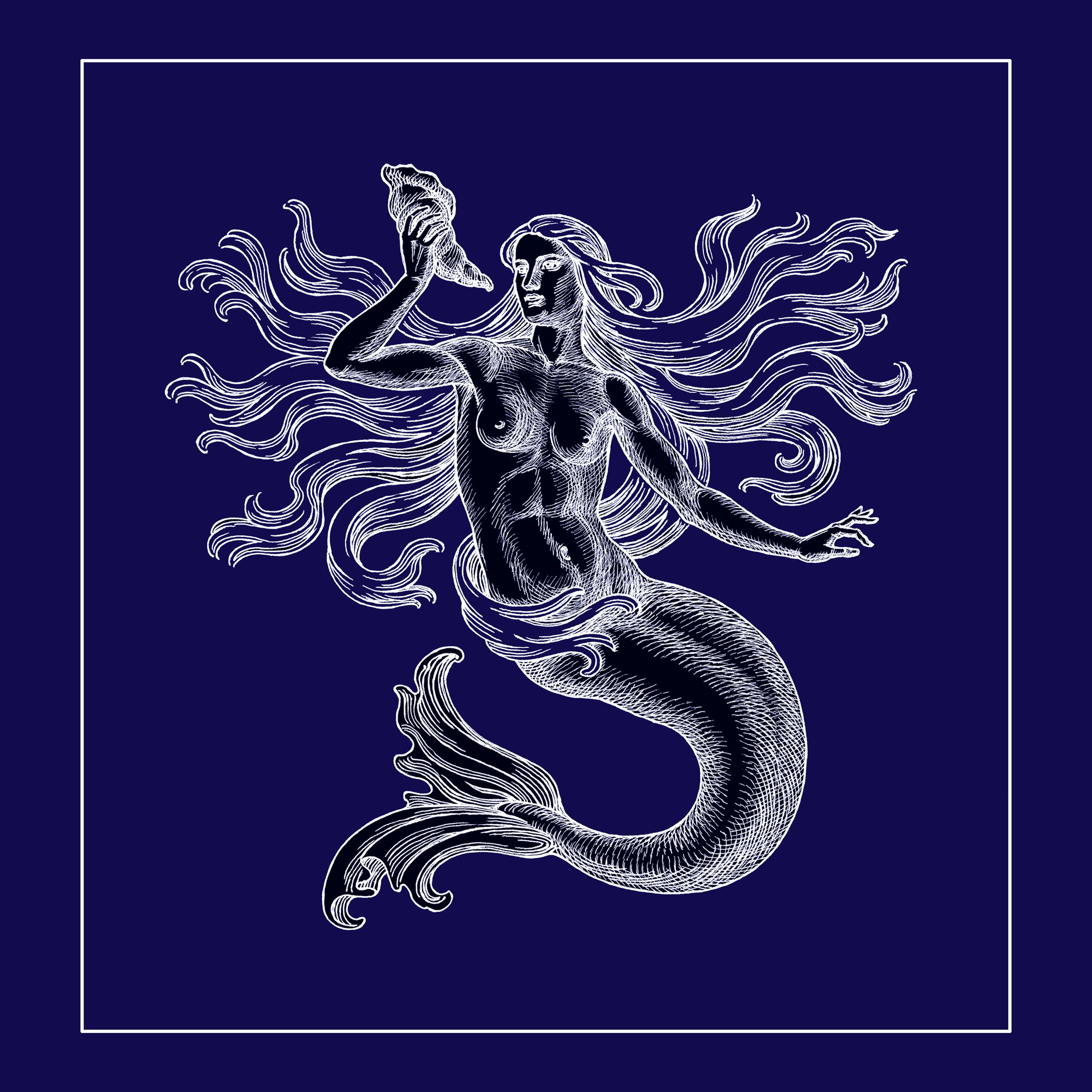 Mermaid Insta.jpg