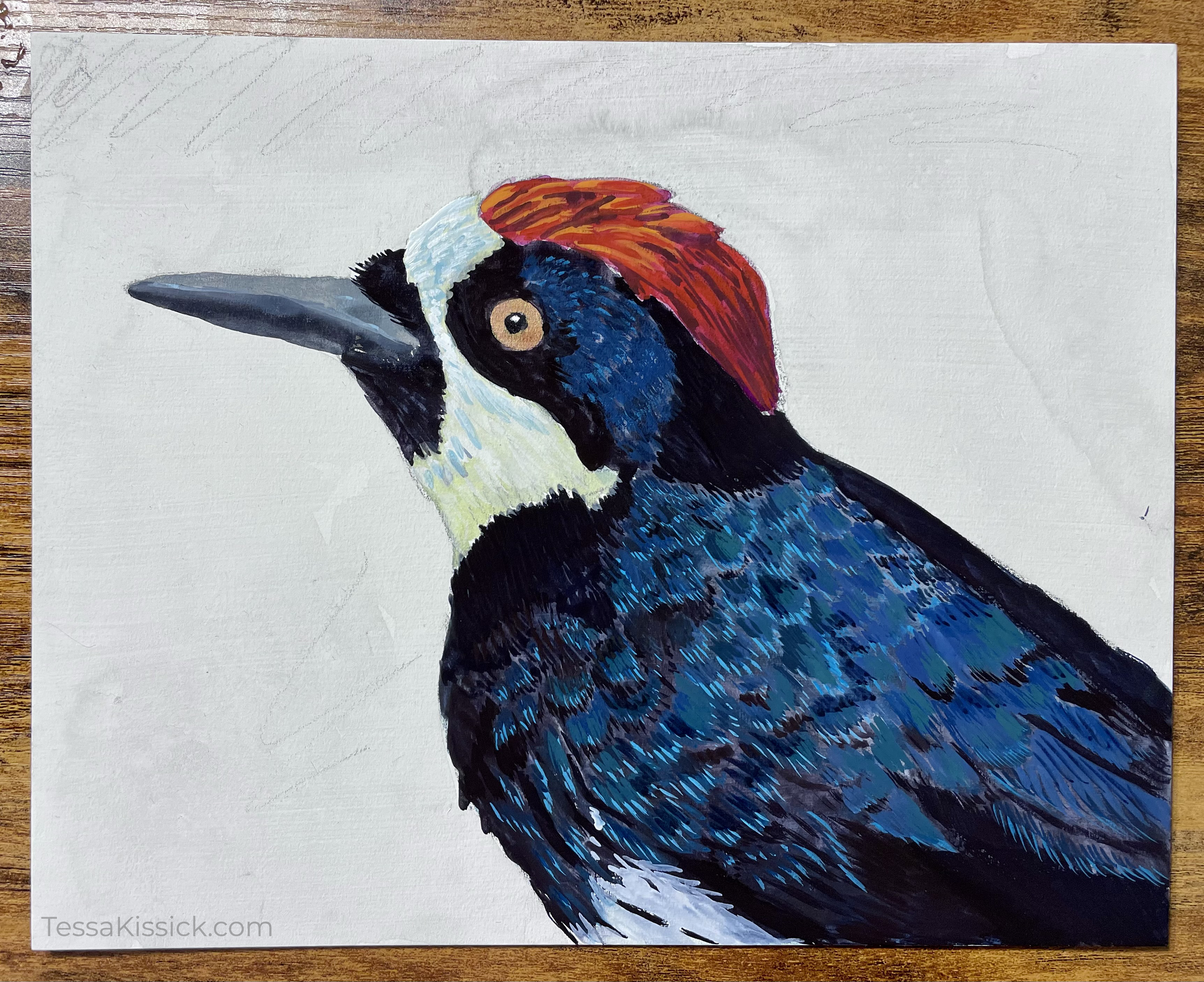 Woodpecker painting.png