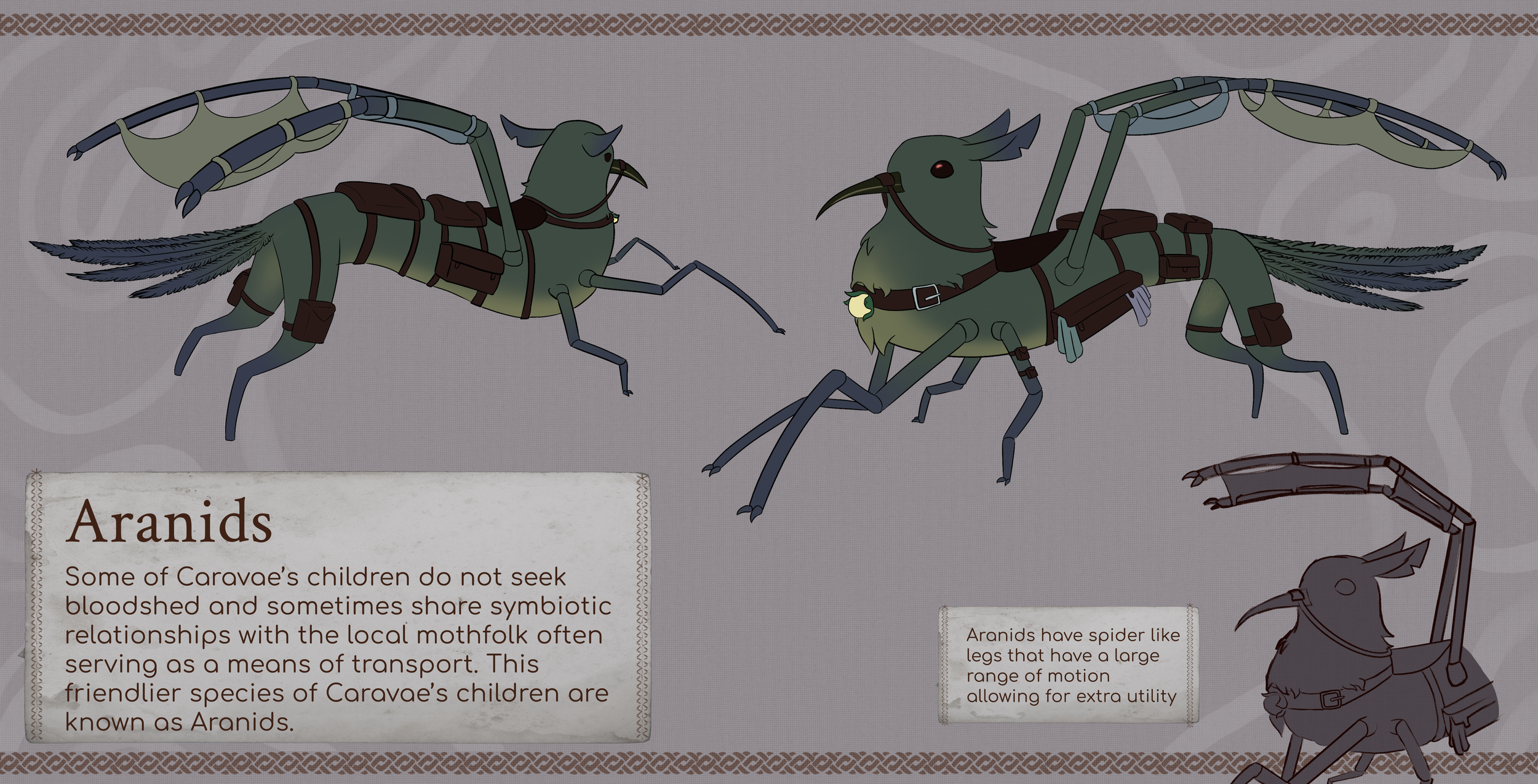 SAV202410_Seqa311_TessaKissick_A5_Aranids 4.png