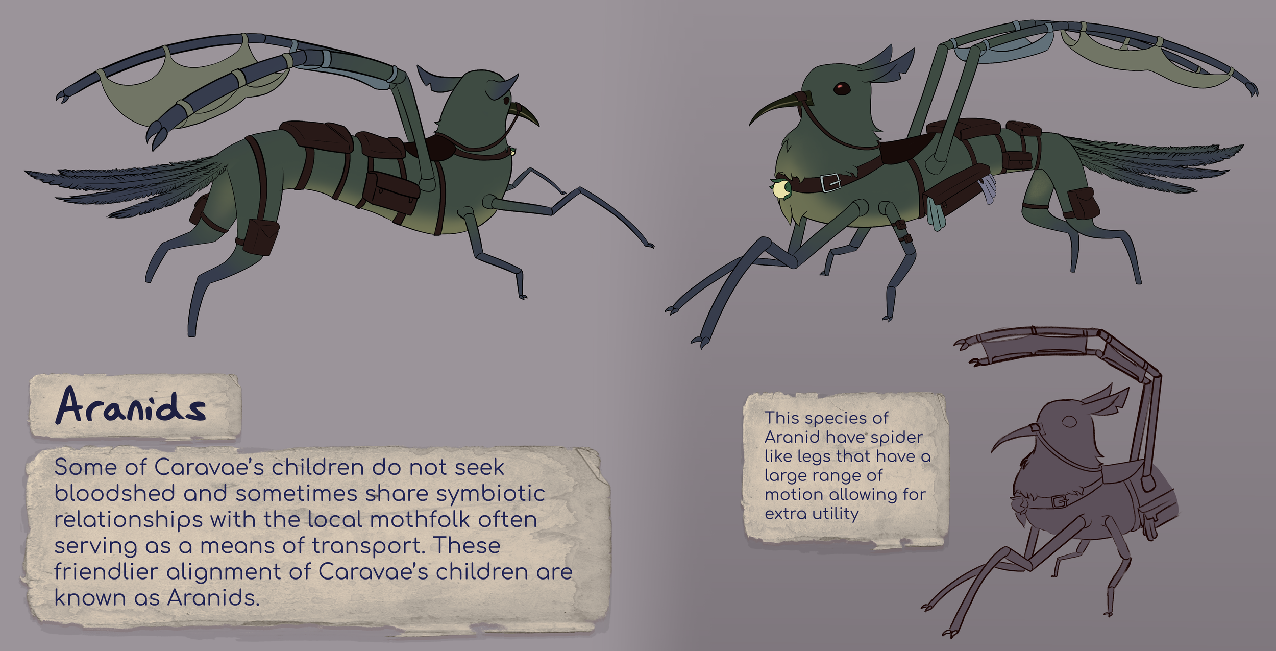 SAV202410_Seqa311_TessaKissick_A5_Aranids 2.png