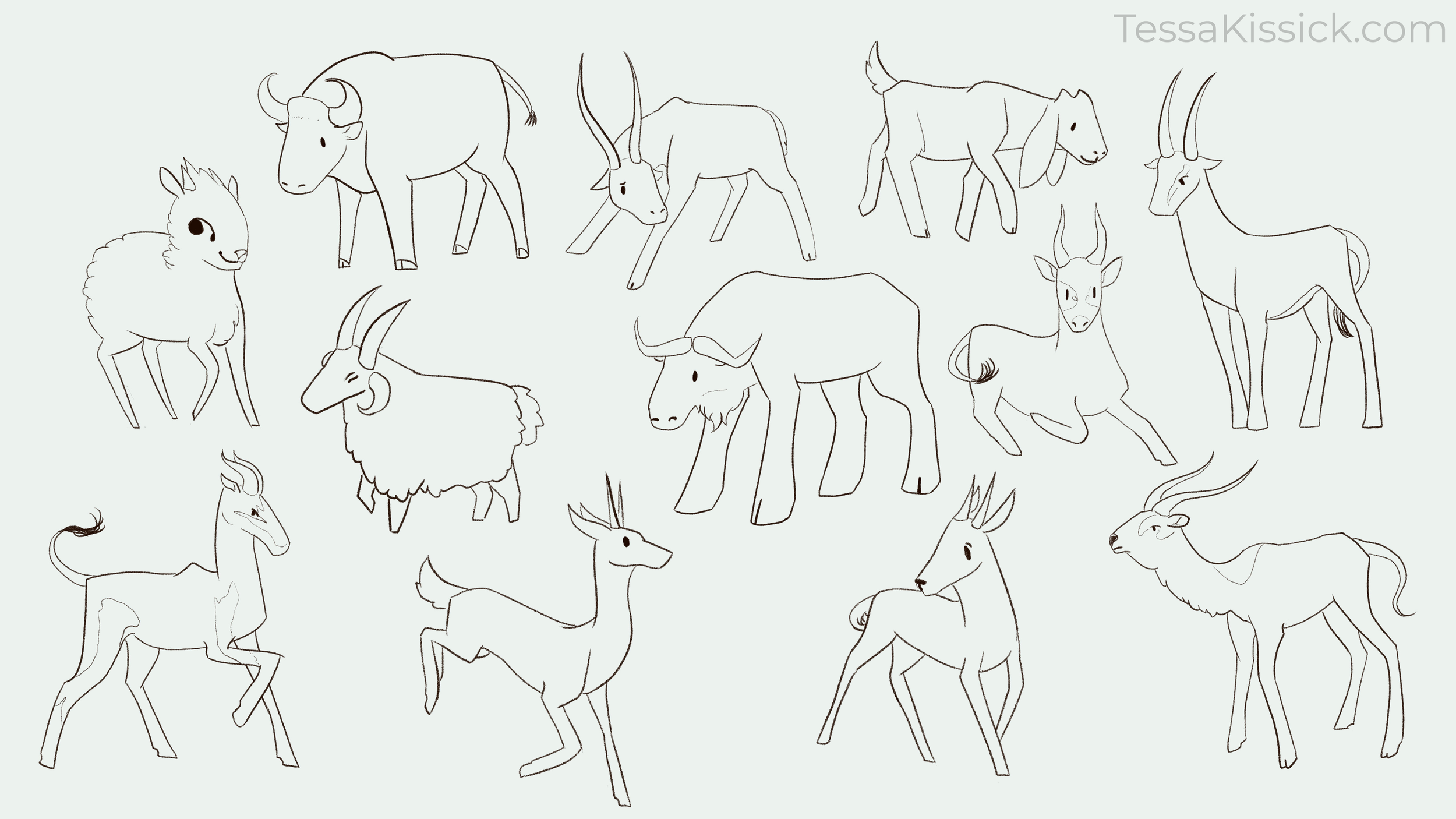 SAV_202230_Illu351_TessaKissick_A5_Amoosing-Bovidae.png